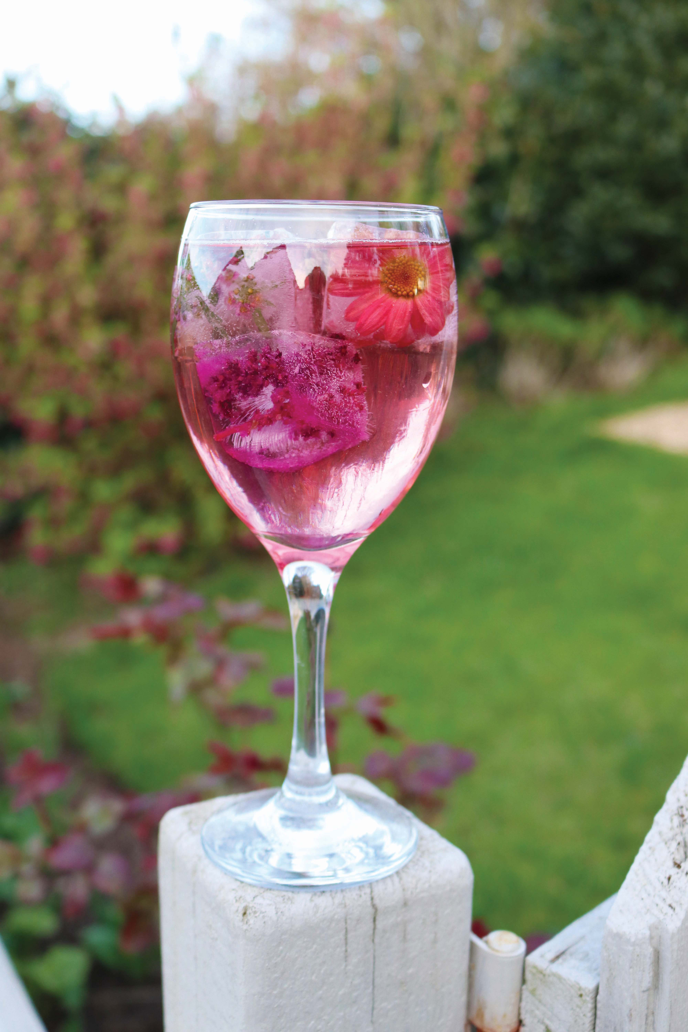 Amaranth ice cubes turn a drink pink (Tanya Anderson/PA)