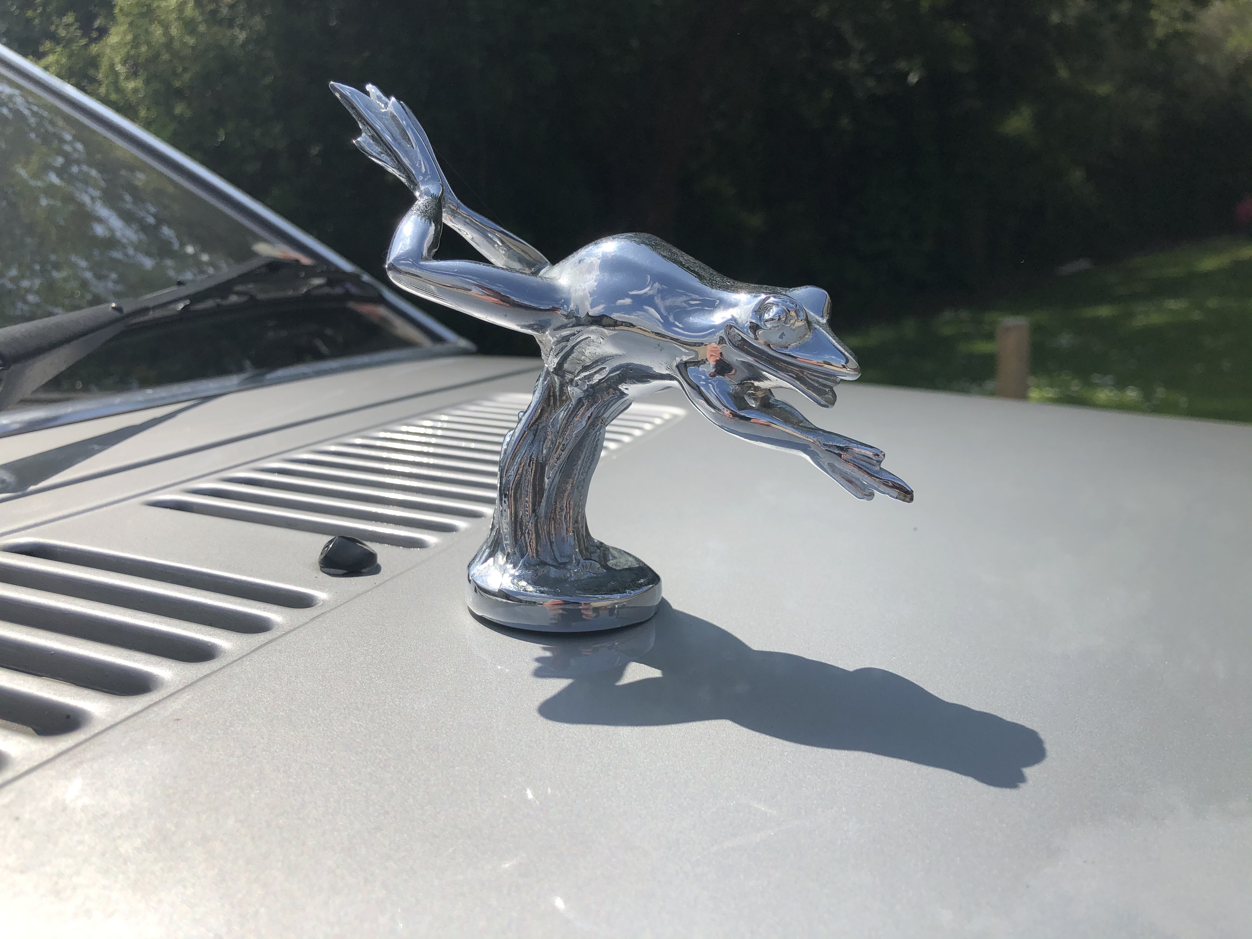 The car's silver frog mascot on the bonnet 