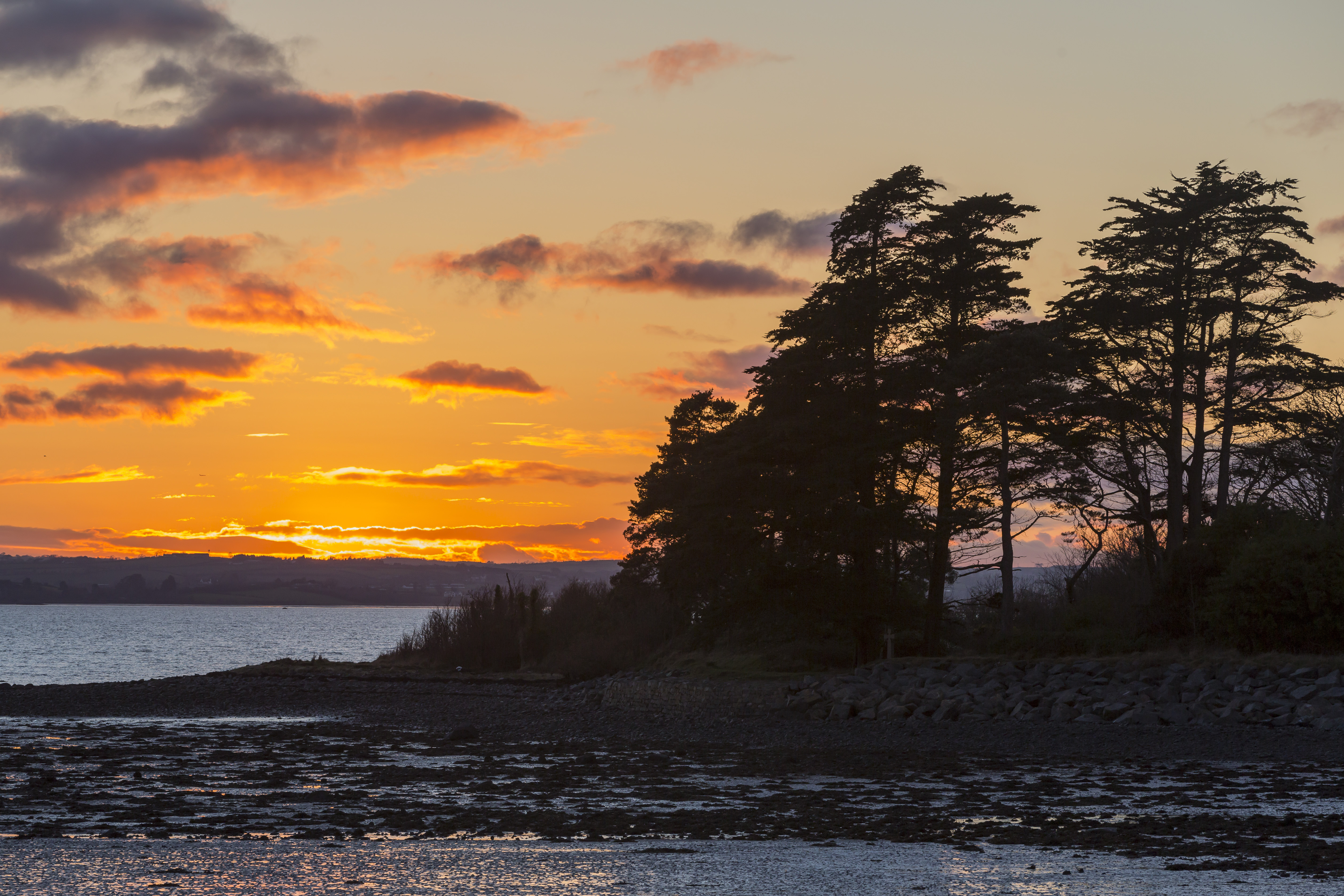 Sunset on the shore of Strangford Lough, at Mount Stewart, County Down