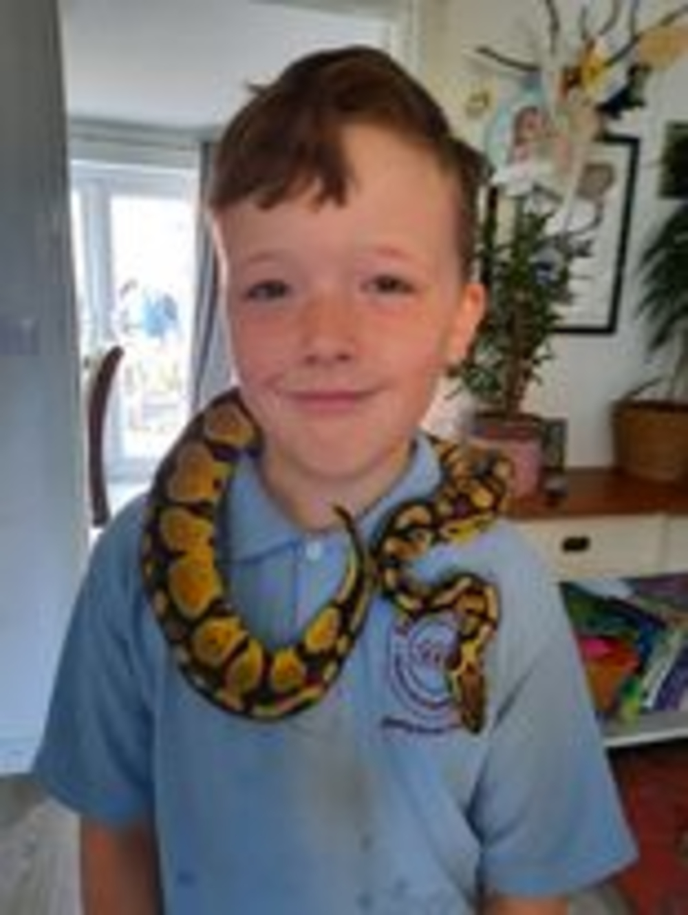 Ellis and the python