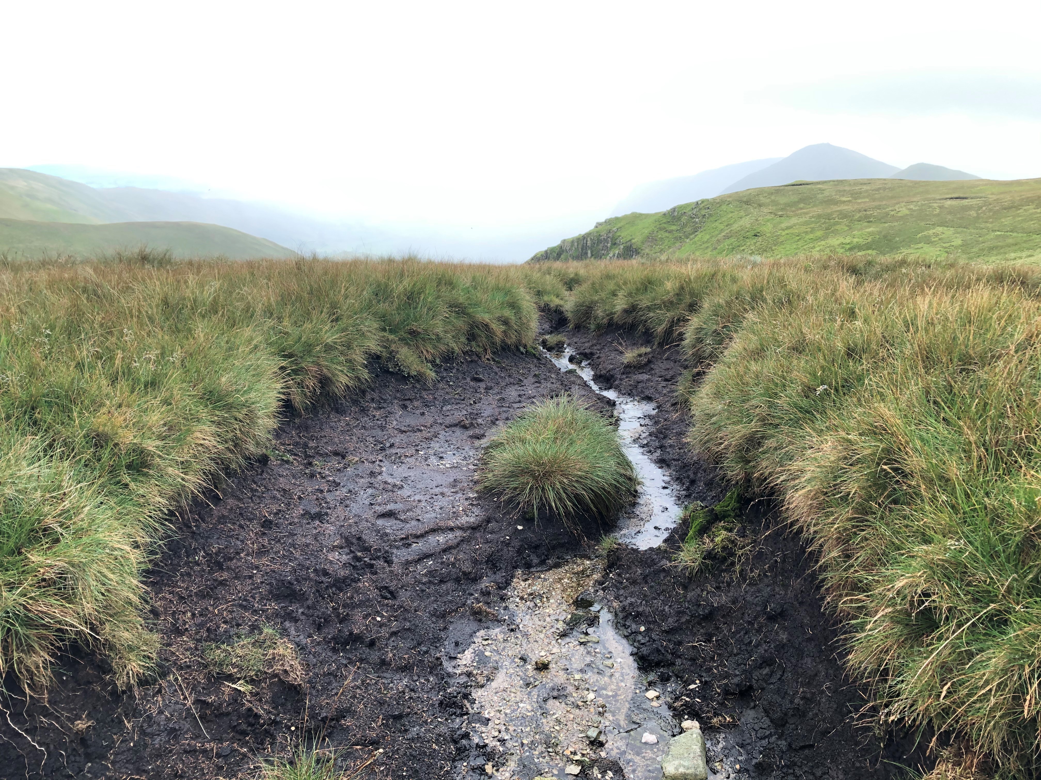 upland damaged peat