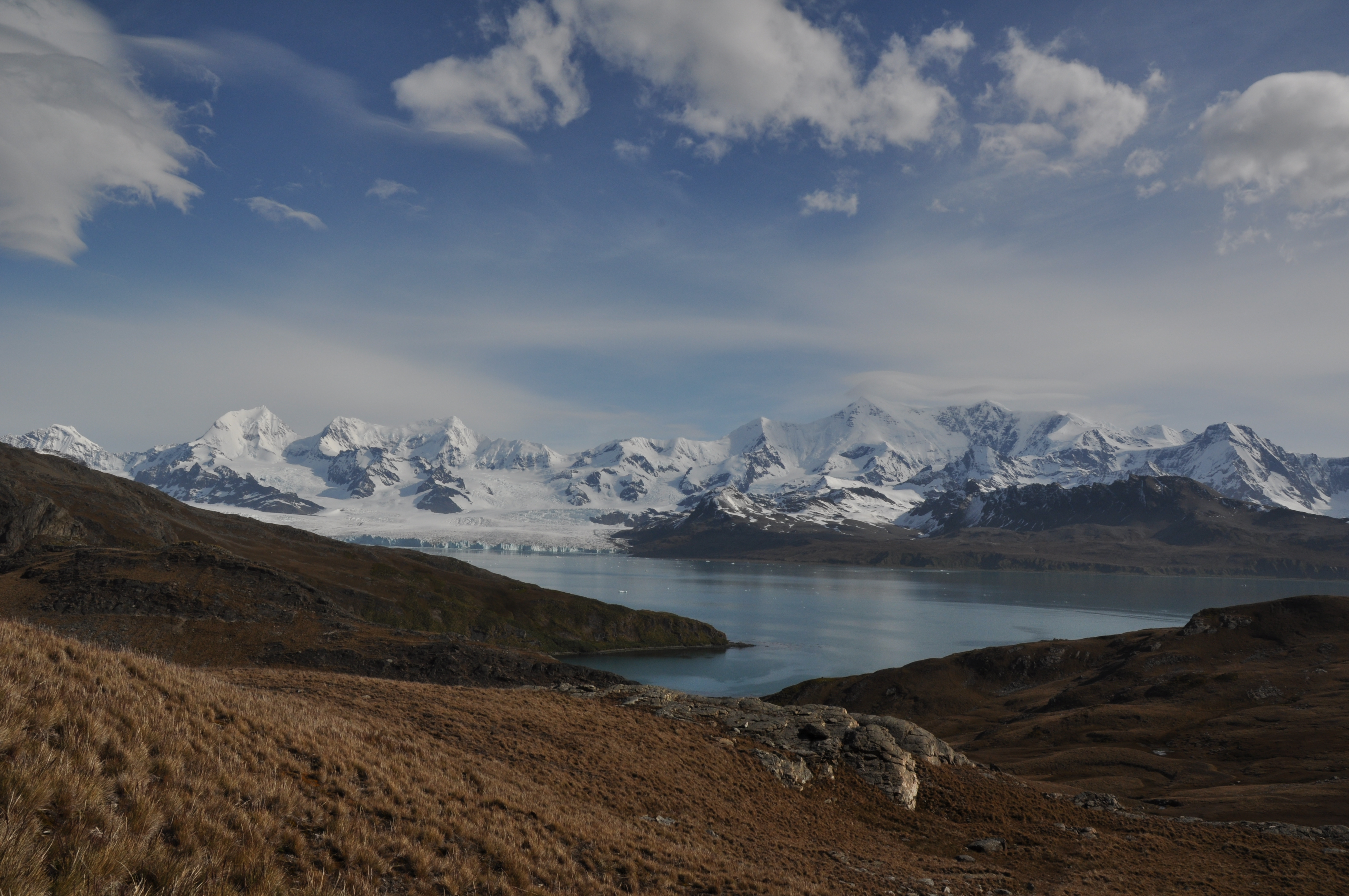 Veiw to Nordenskjöld Glacier in South Georgia (GSGSSI/PA)