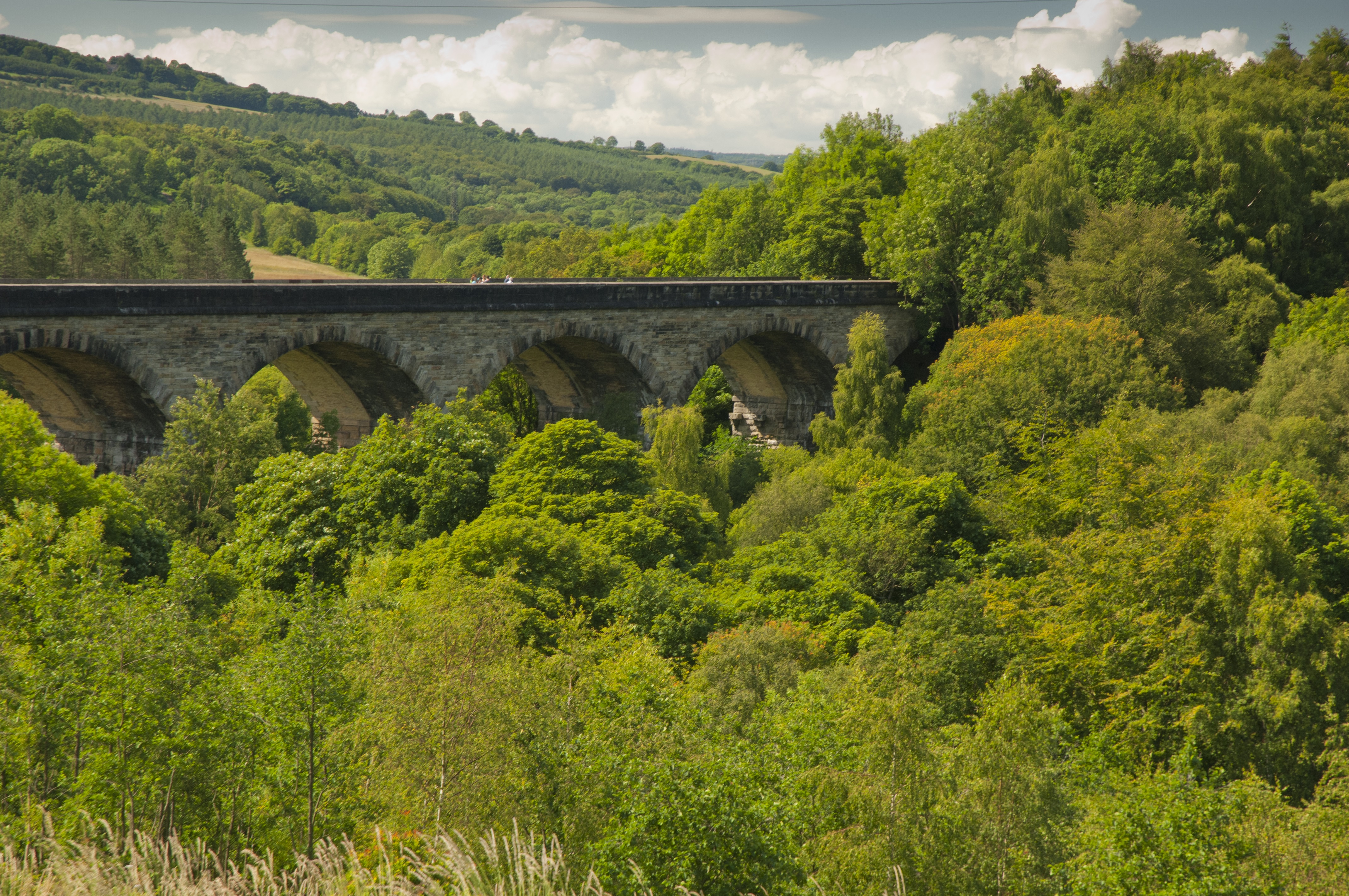 One of the projects focuses on connecting woodlands in the Derwent Valley (Derbyshire Wildlife Trust/PA)