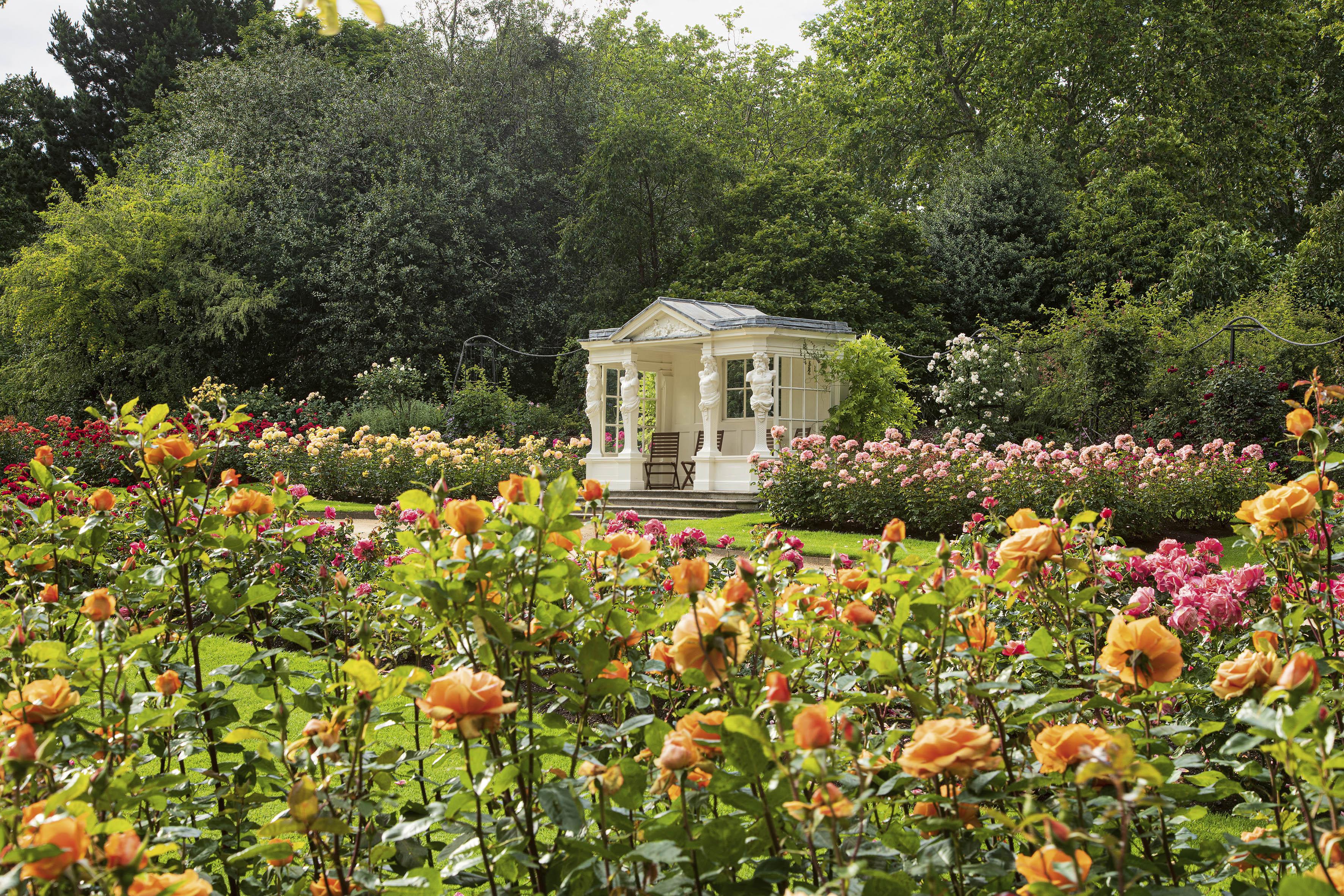 The Rose Garden at Buckingham Palace 