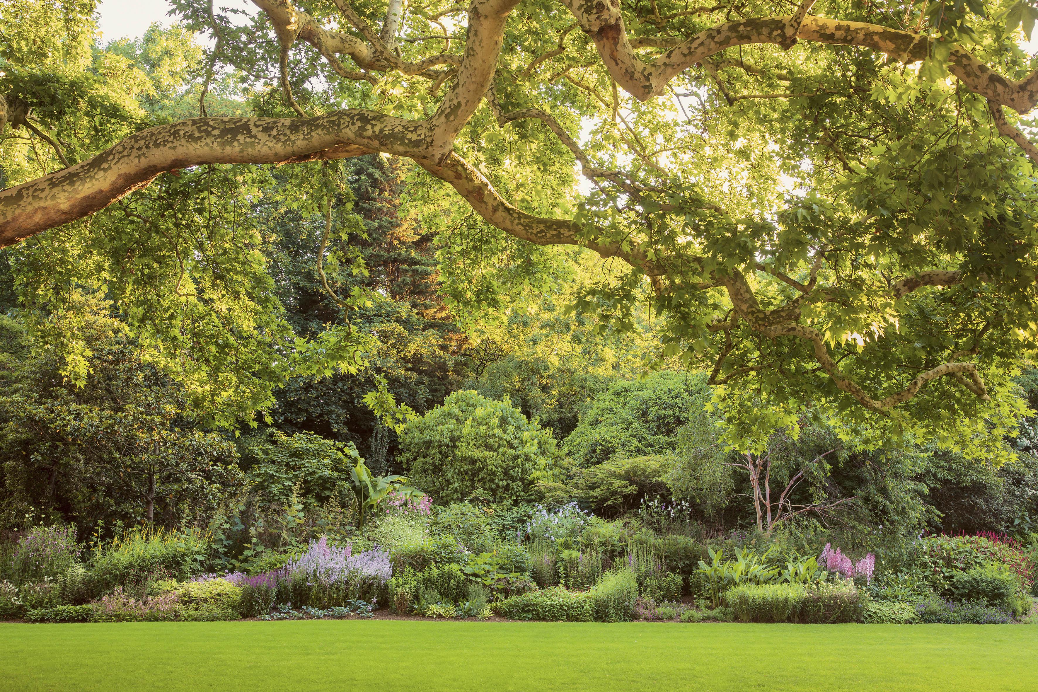 The garden’s 156 metre long Herbaceous Border