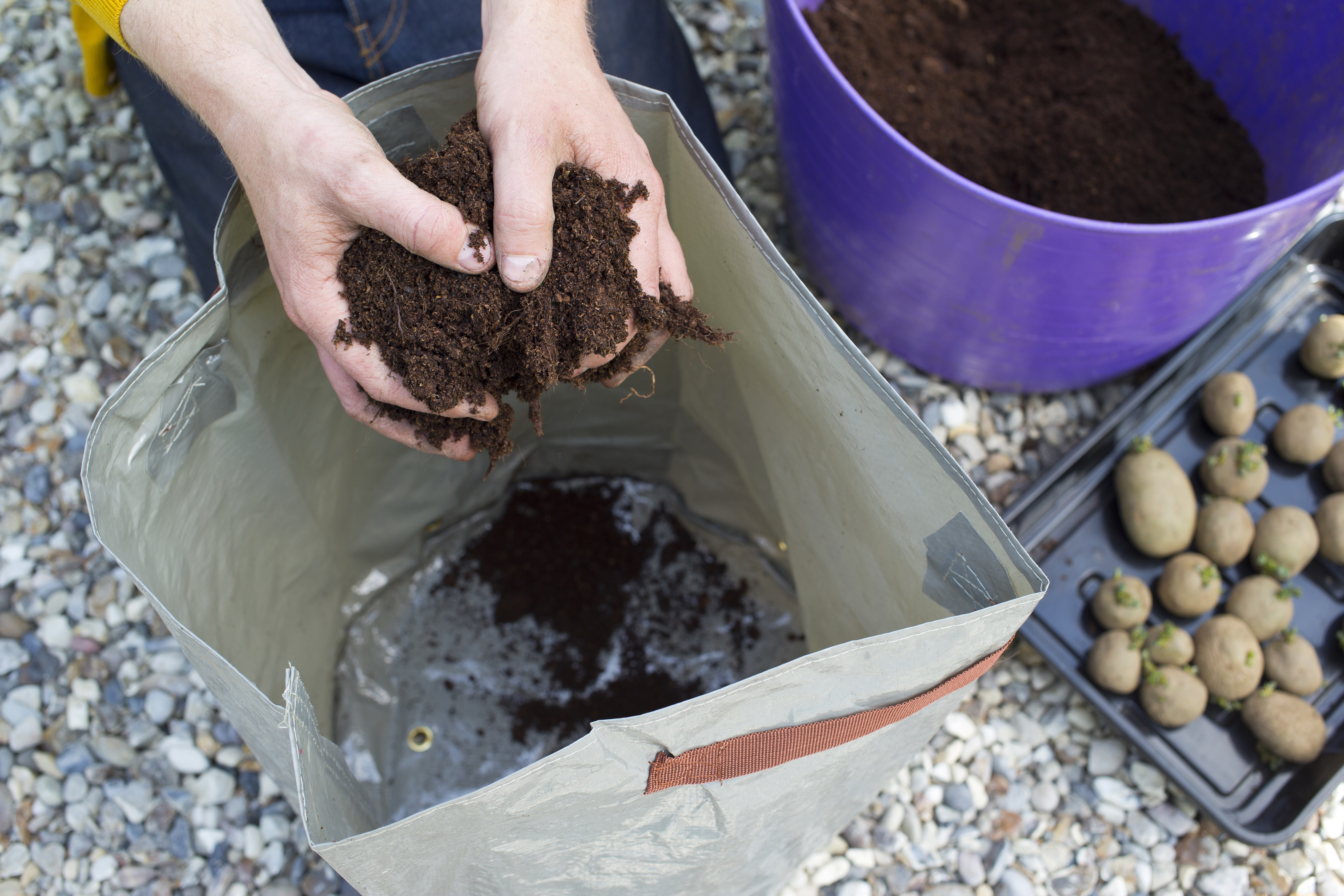 Growing seed potatoes for Christmas (Dobbies Garden Centres/PA)