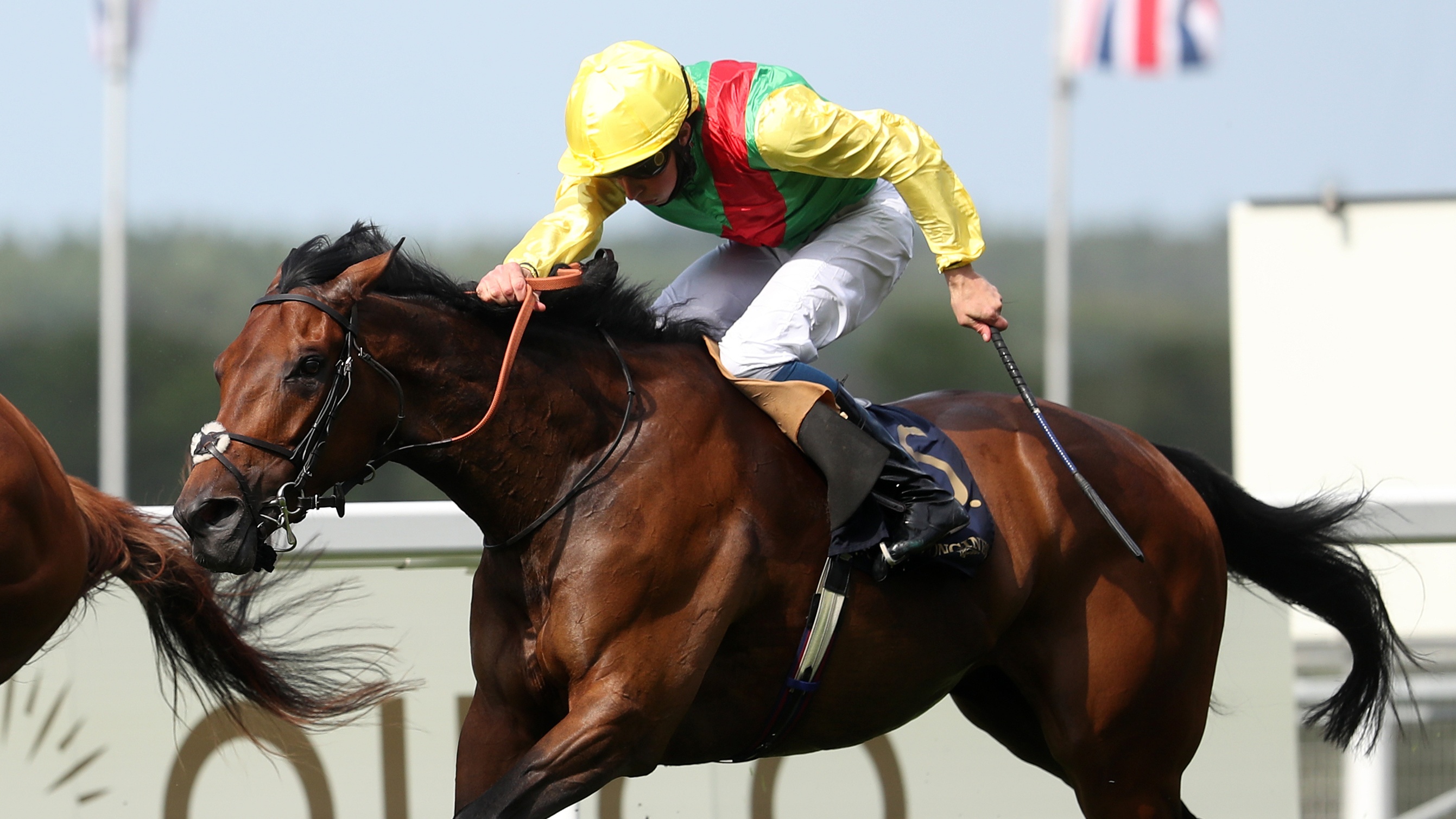 Audarya in action at Royal Ascot