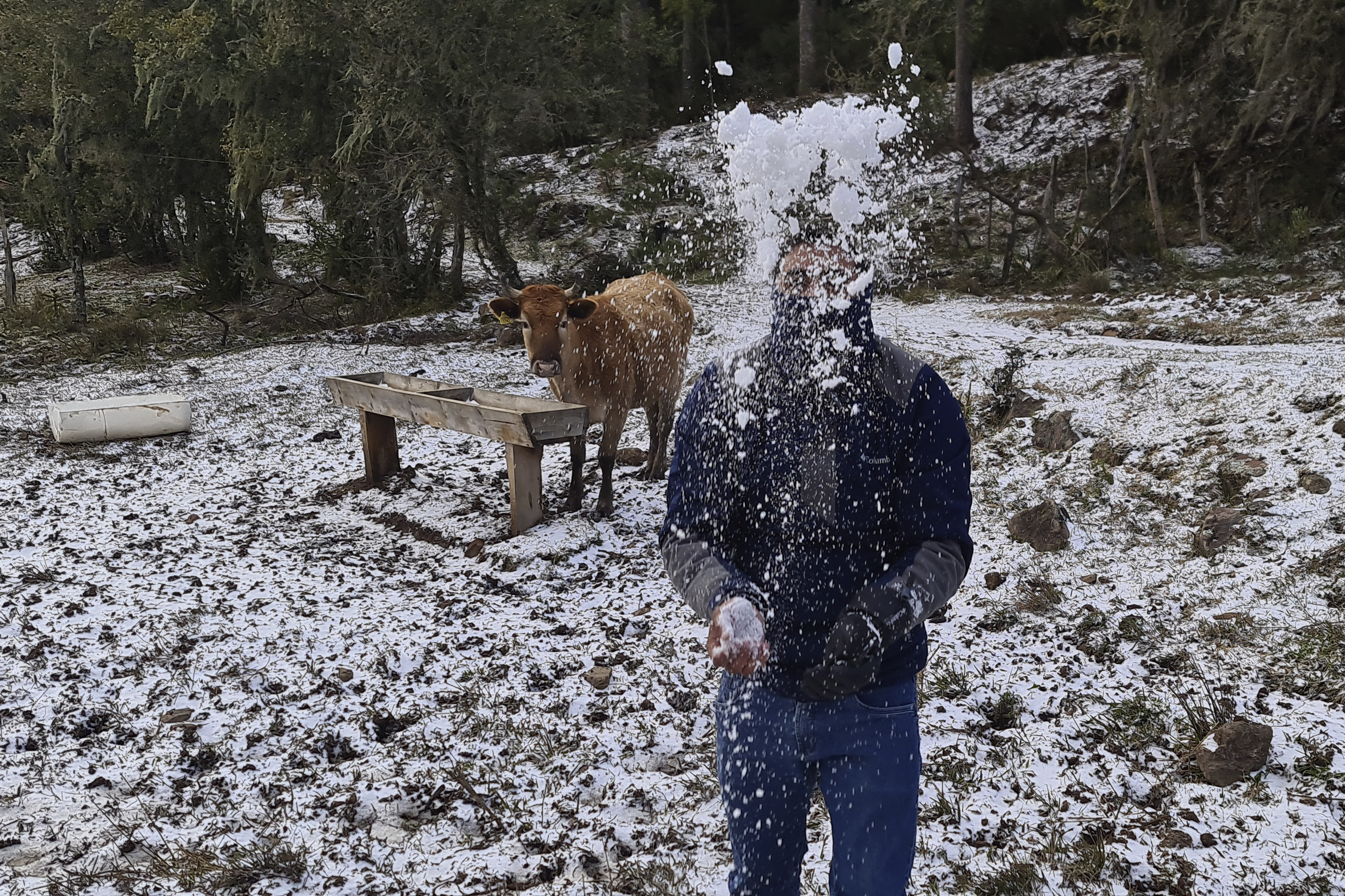 A man plays with snow at a farm in rural Sao Joaquim, Brazil