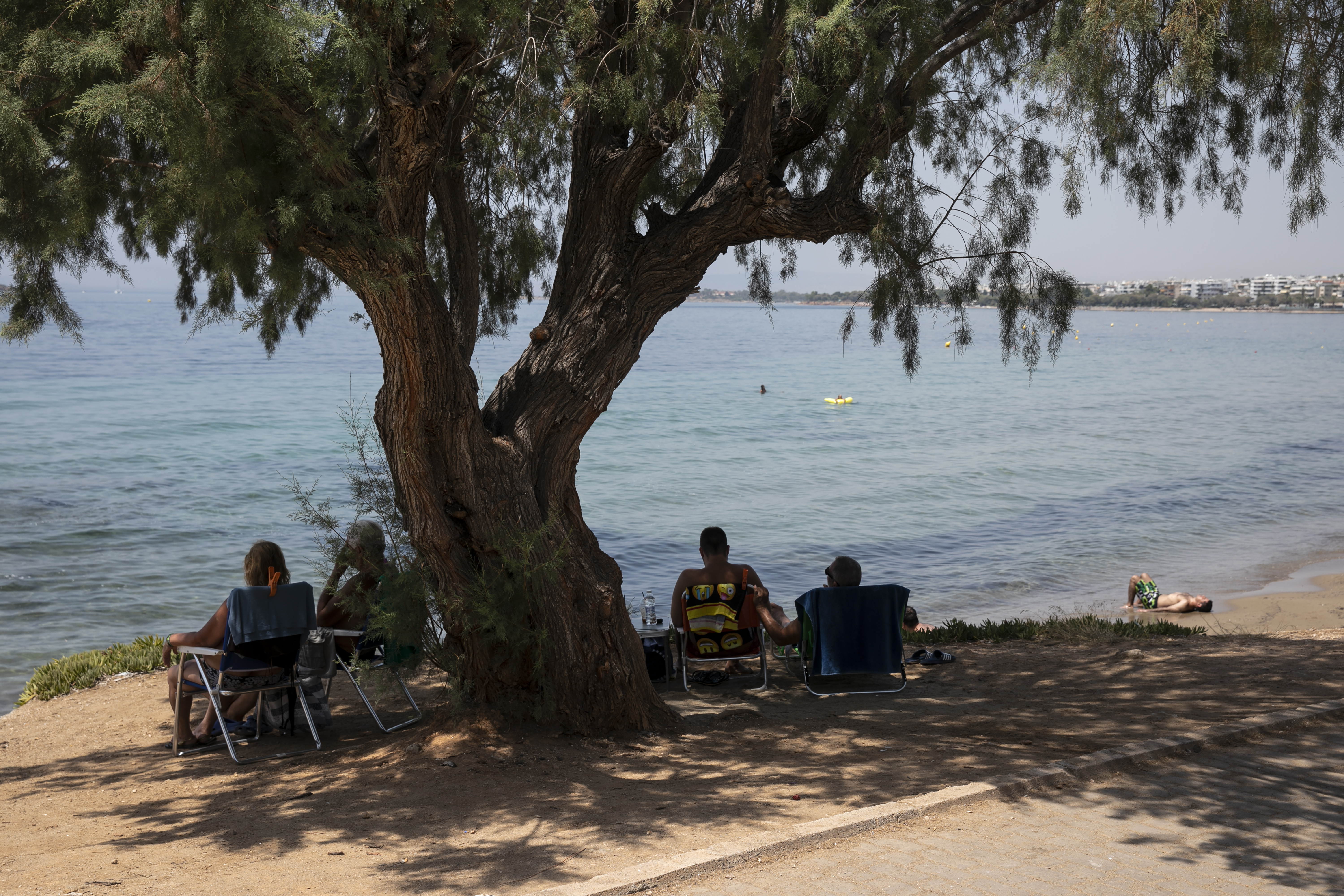 A man sunbathes as others sit under a pine tree at a beach of Kavouri suburb, south-west of Athens