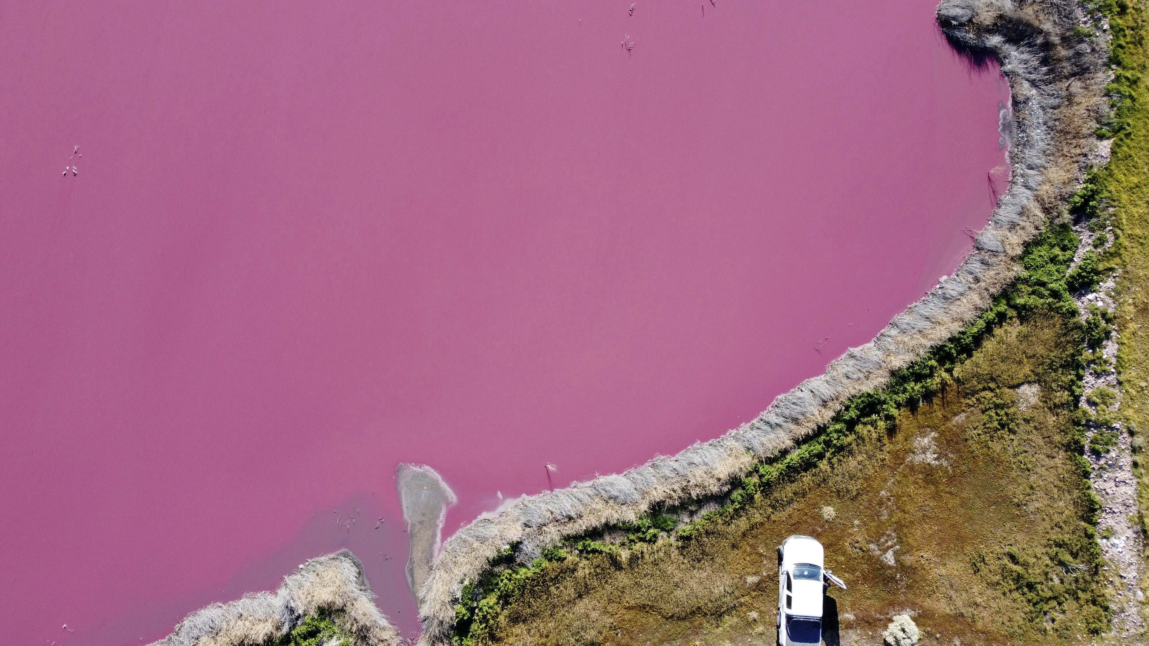 An aerial view of Corfo lagoon, which has turned a striking shade of pink as a result of what local environmentalists are attributing to increased pollution from a nearby industrial park, in Trelew, Chubut province, Argentina