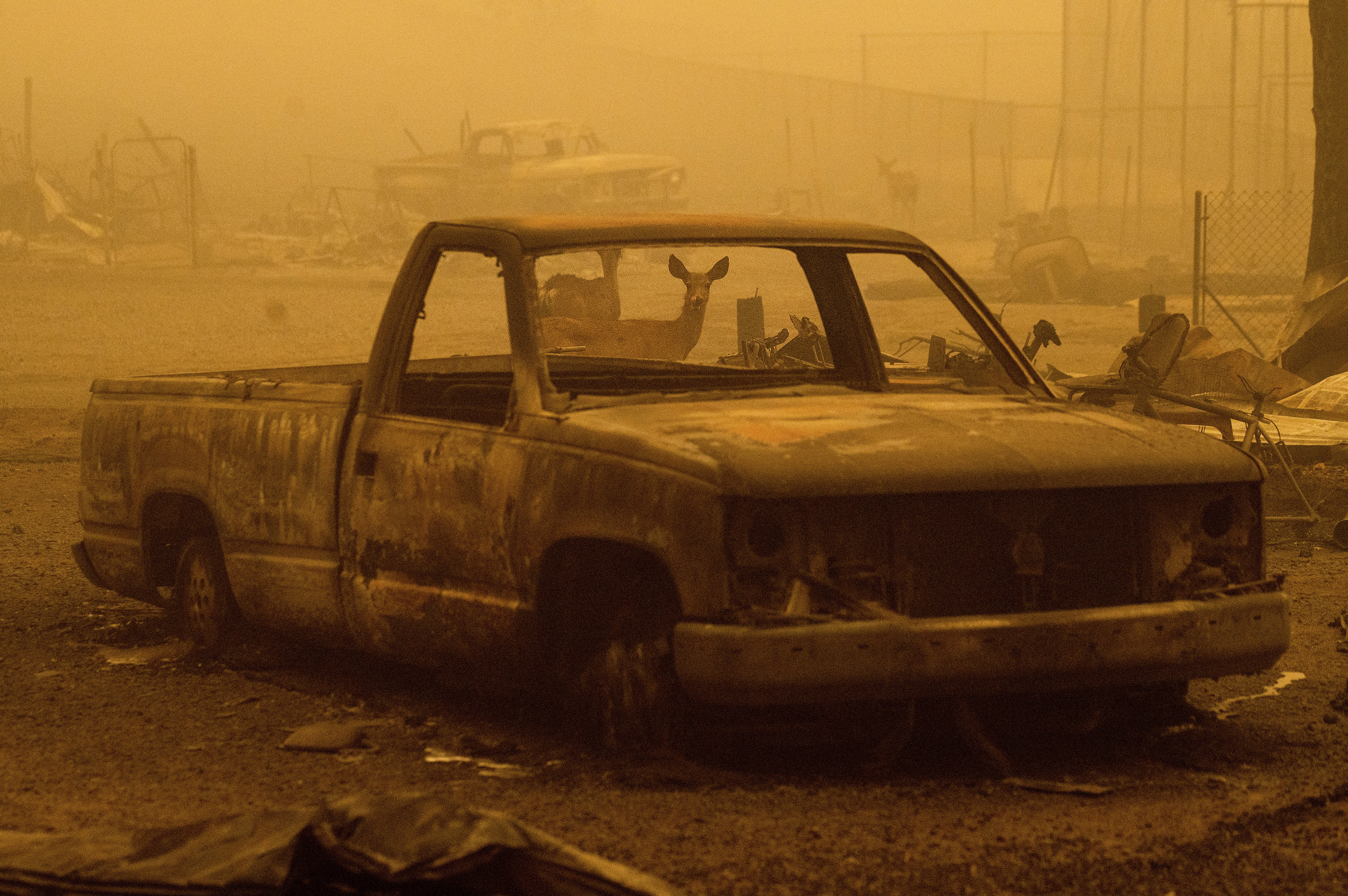 A burned out car