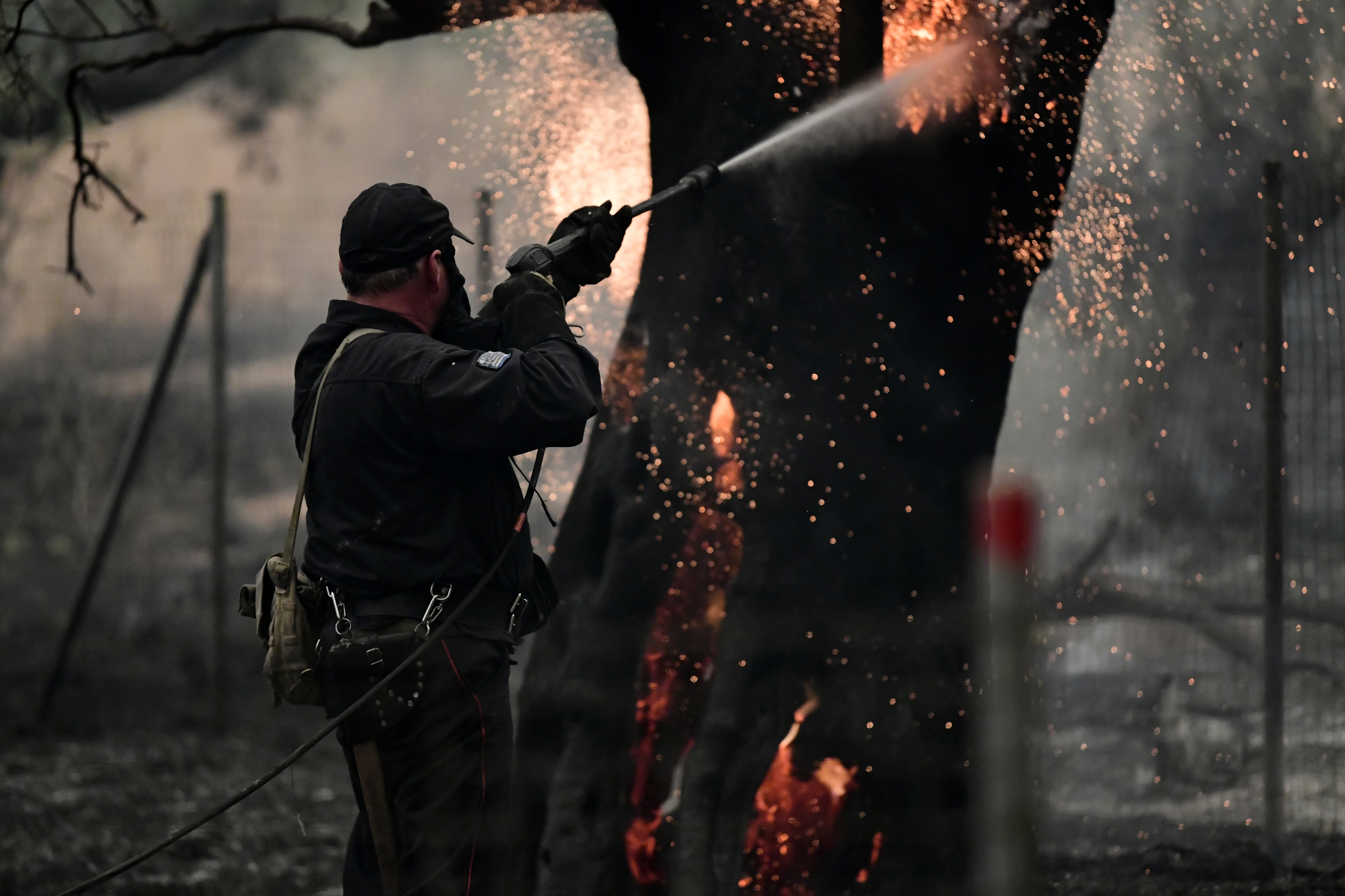 A firefighter works on a burning tree