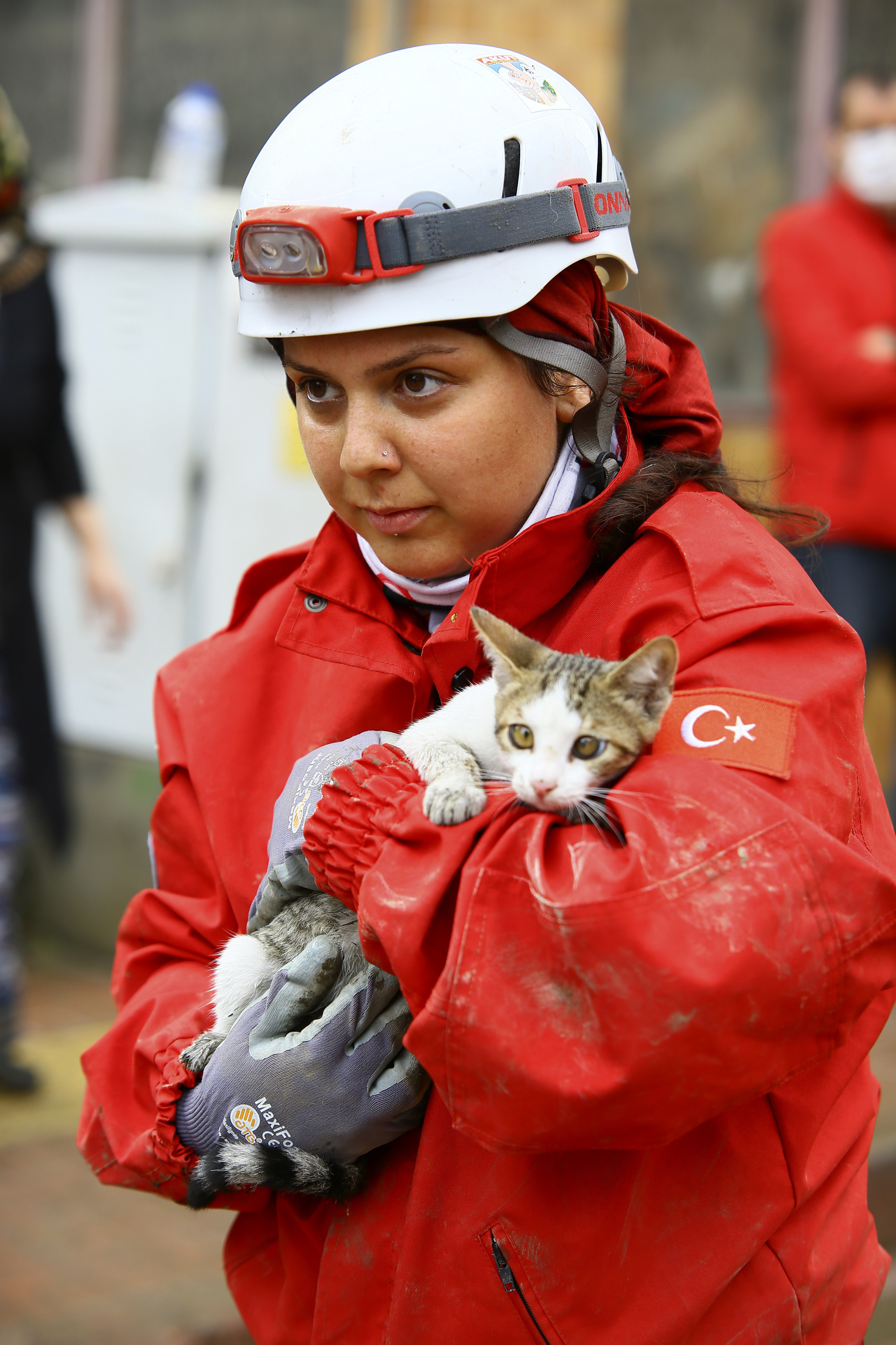 A woman rescues a cat