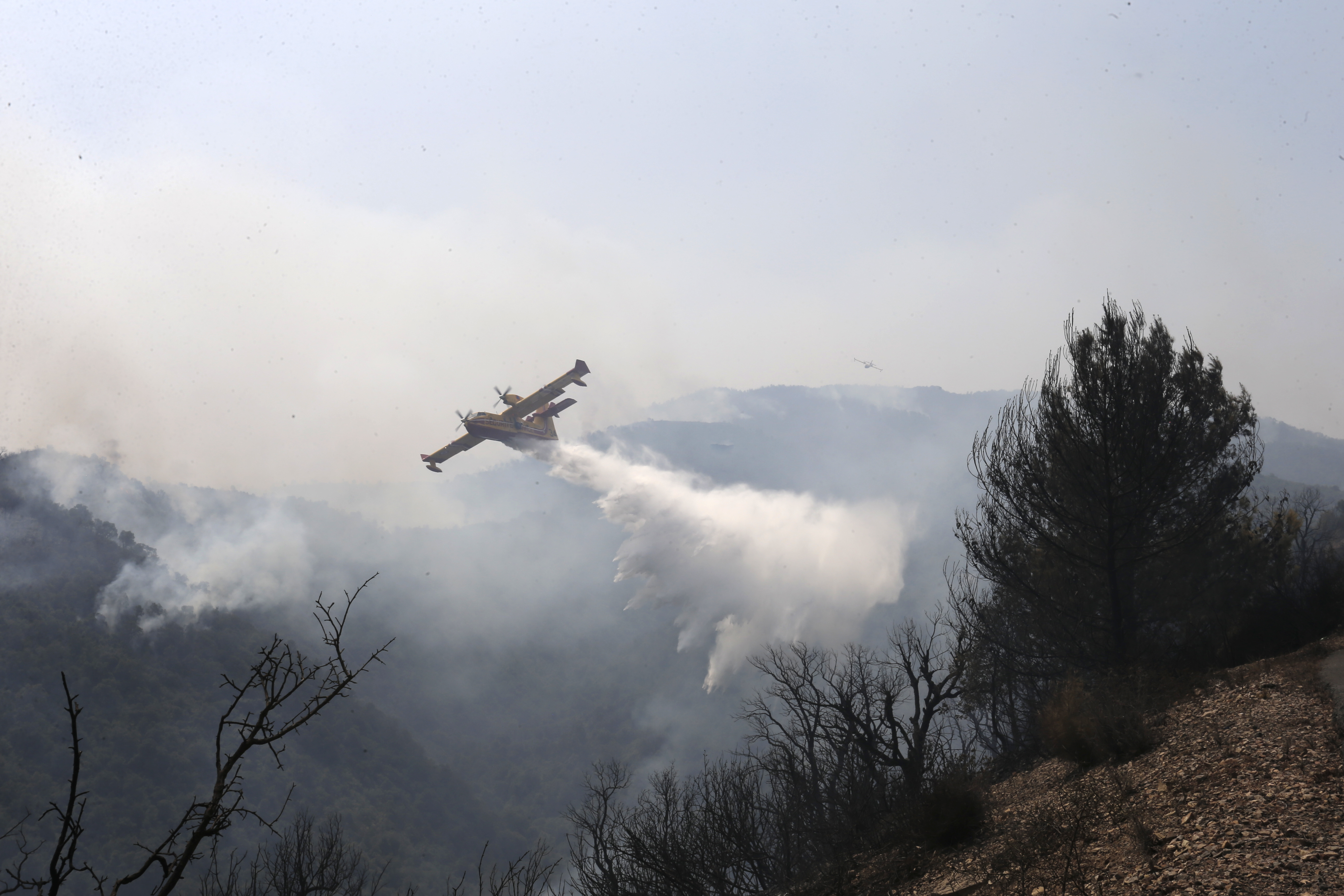 Algeria Fires