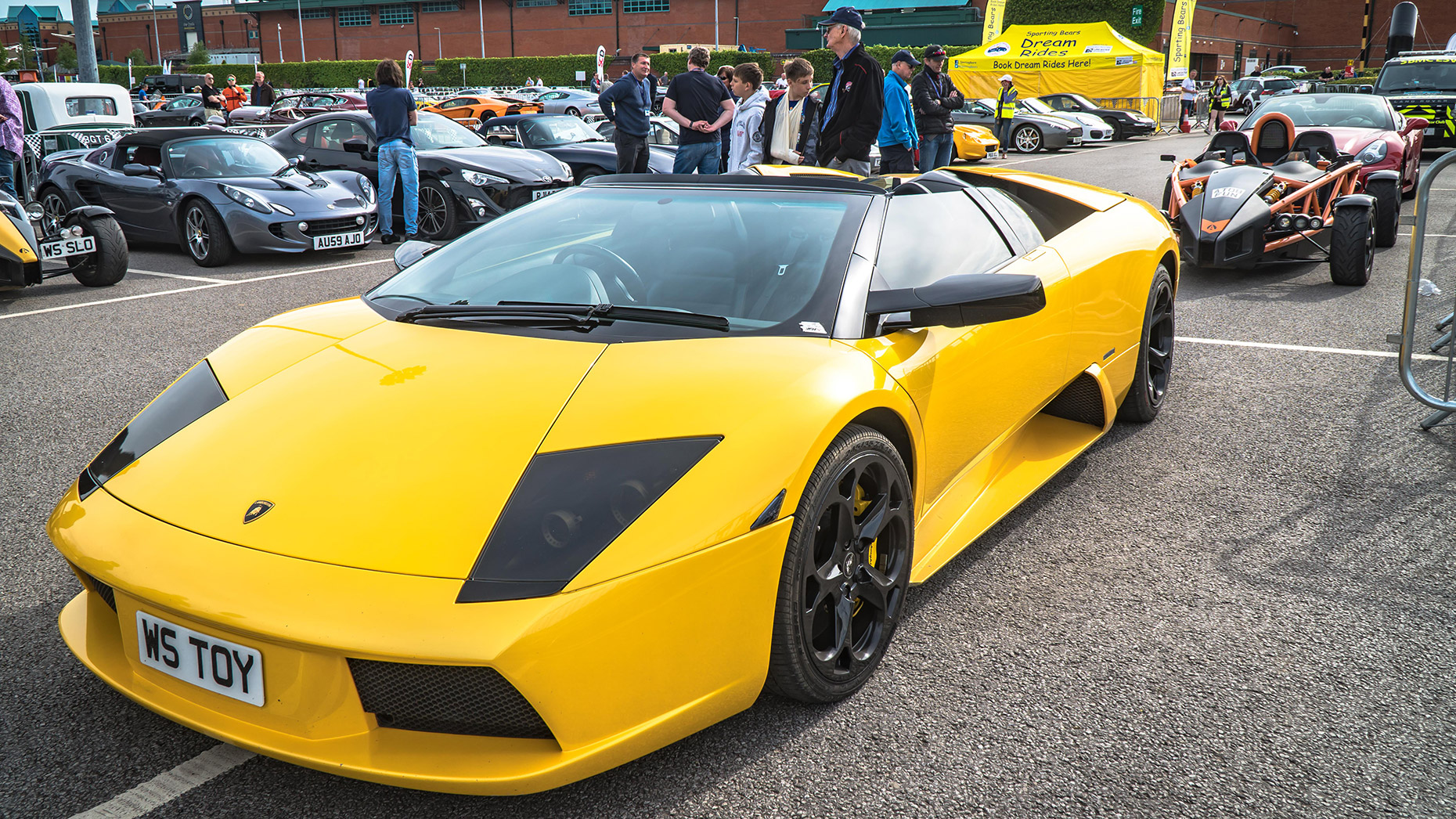 Sporting Bears Lamborghini Murcielago