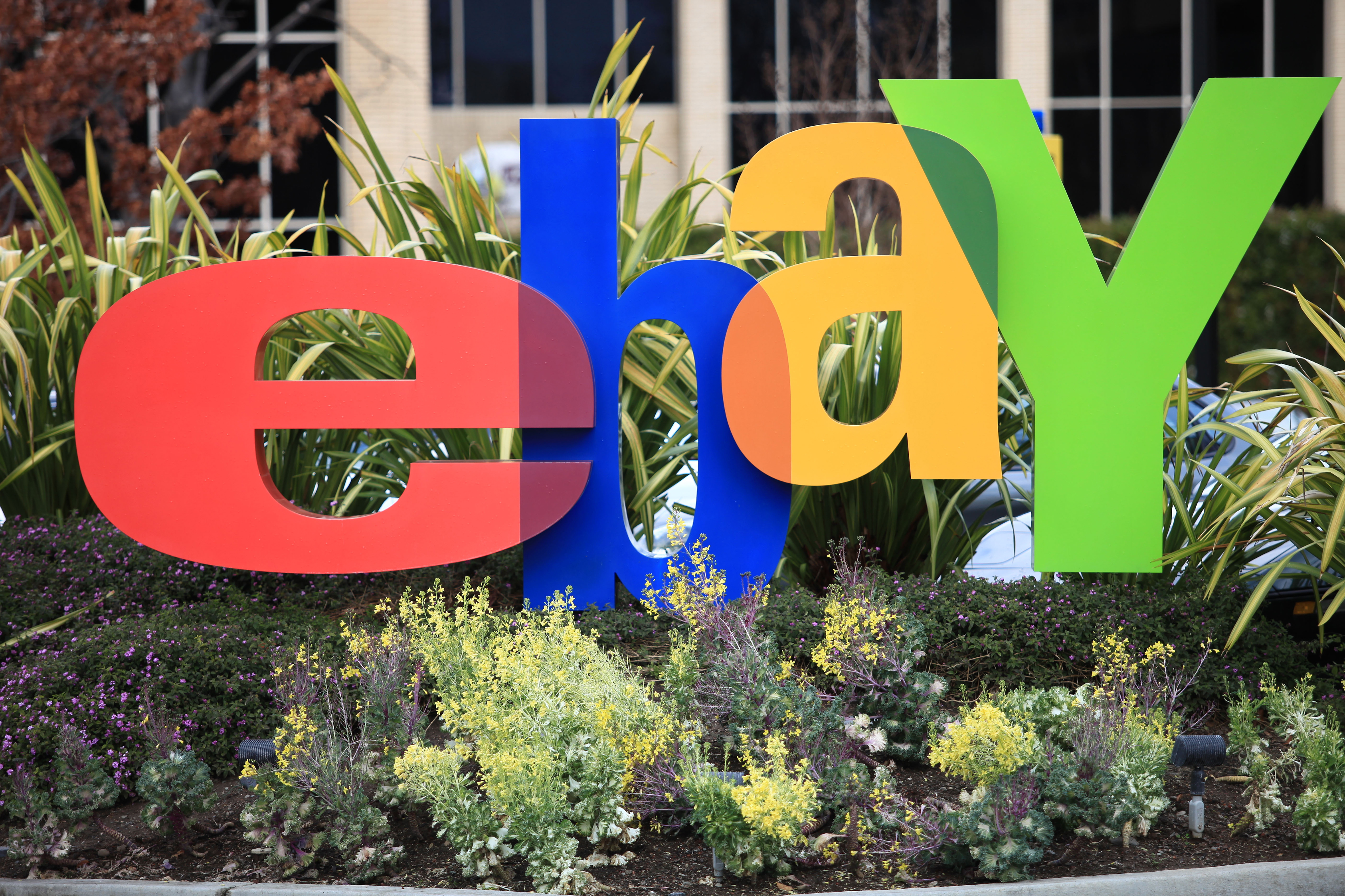 The Ebay logo surrounded by plants (Alamy/PA)
