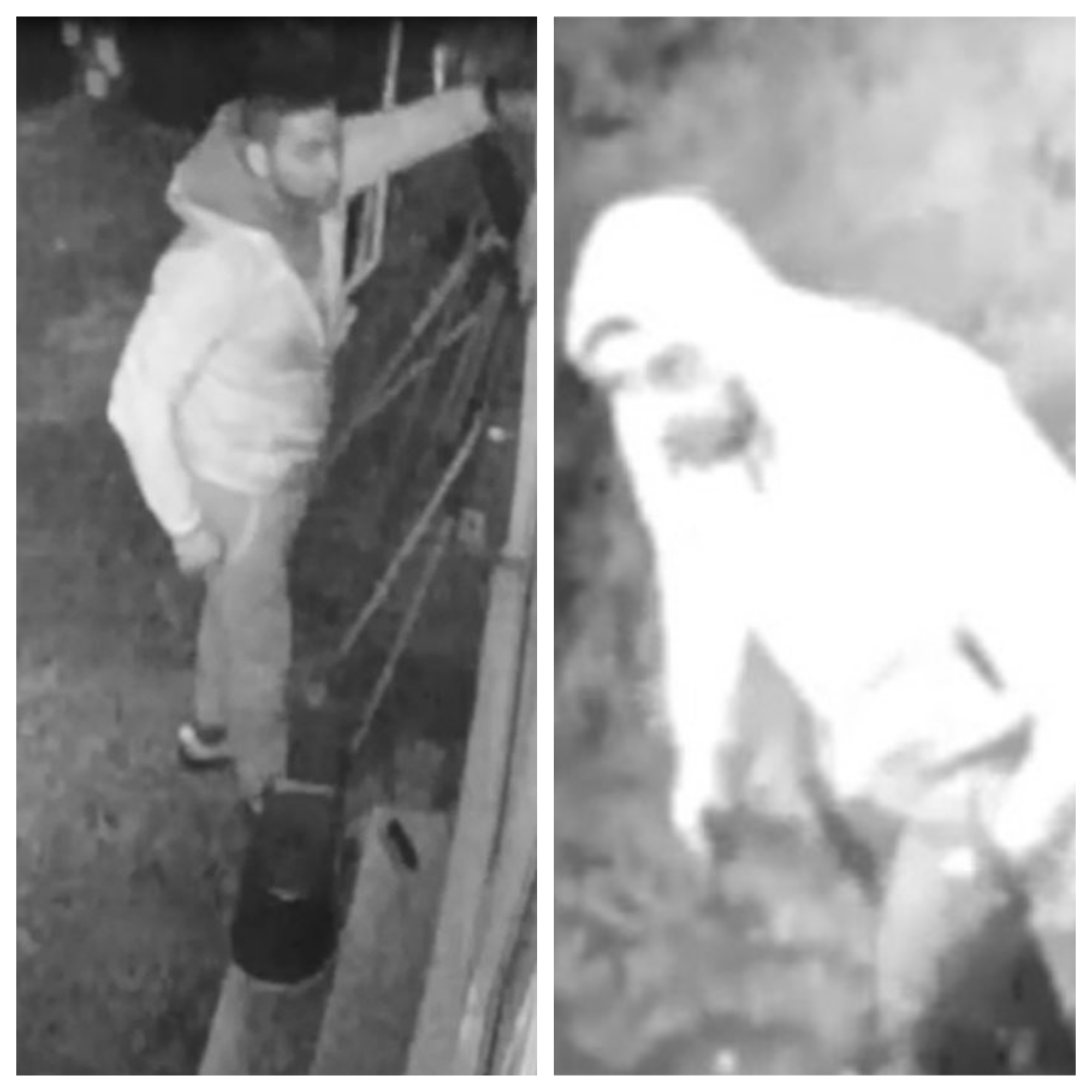 CCTV stills of two of the suspects