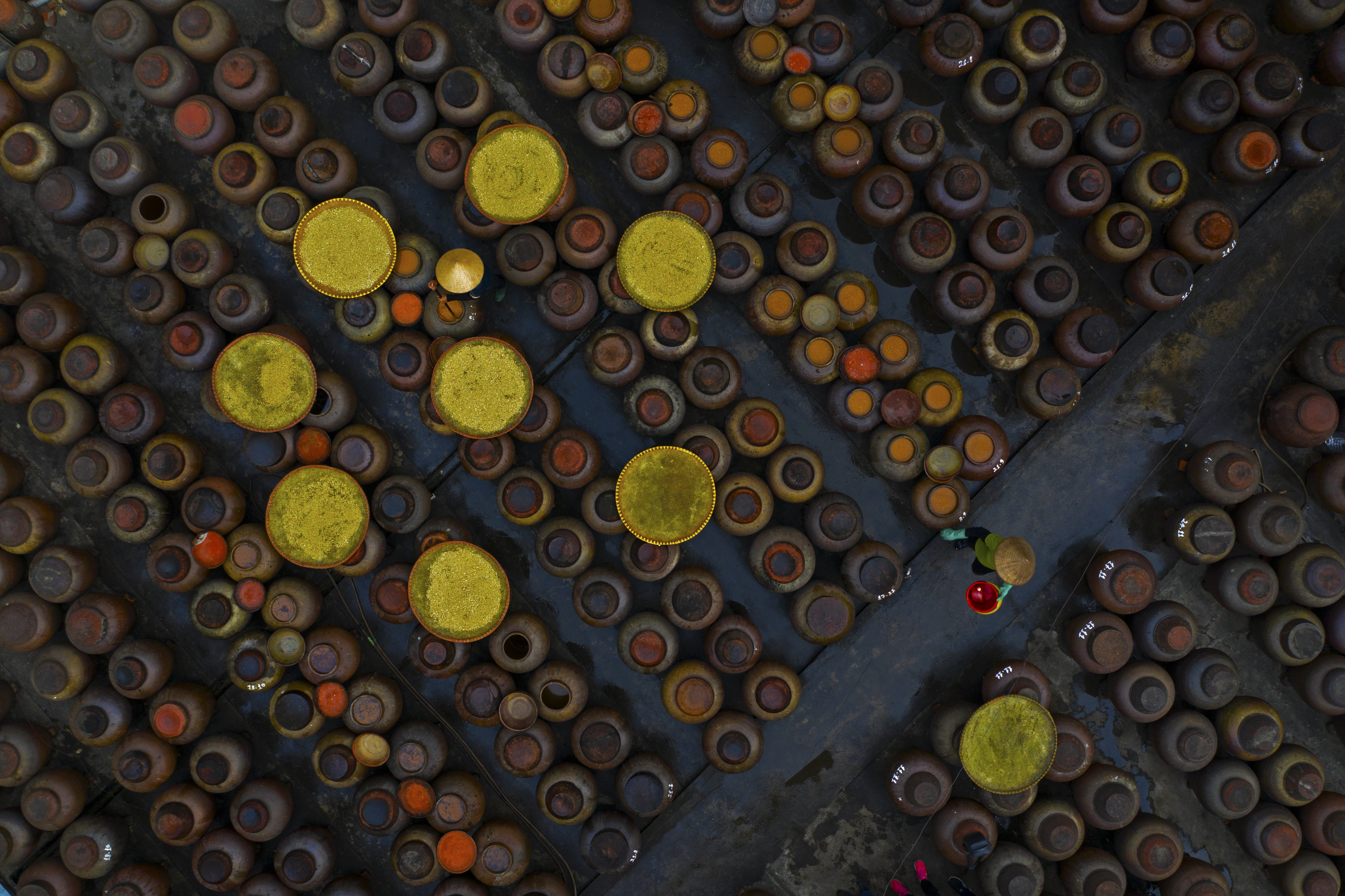 A variety of Vietnamese herbs and spices captured from a unique angle photographed by Azim Khan Ronnie from Bangladesh