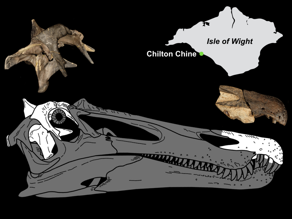 ‘Hell heron’ among new dinosaurs discovered on Isle of Wight Express