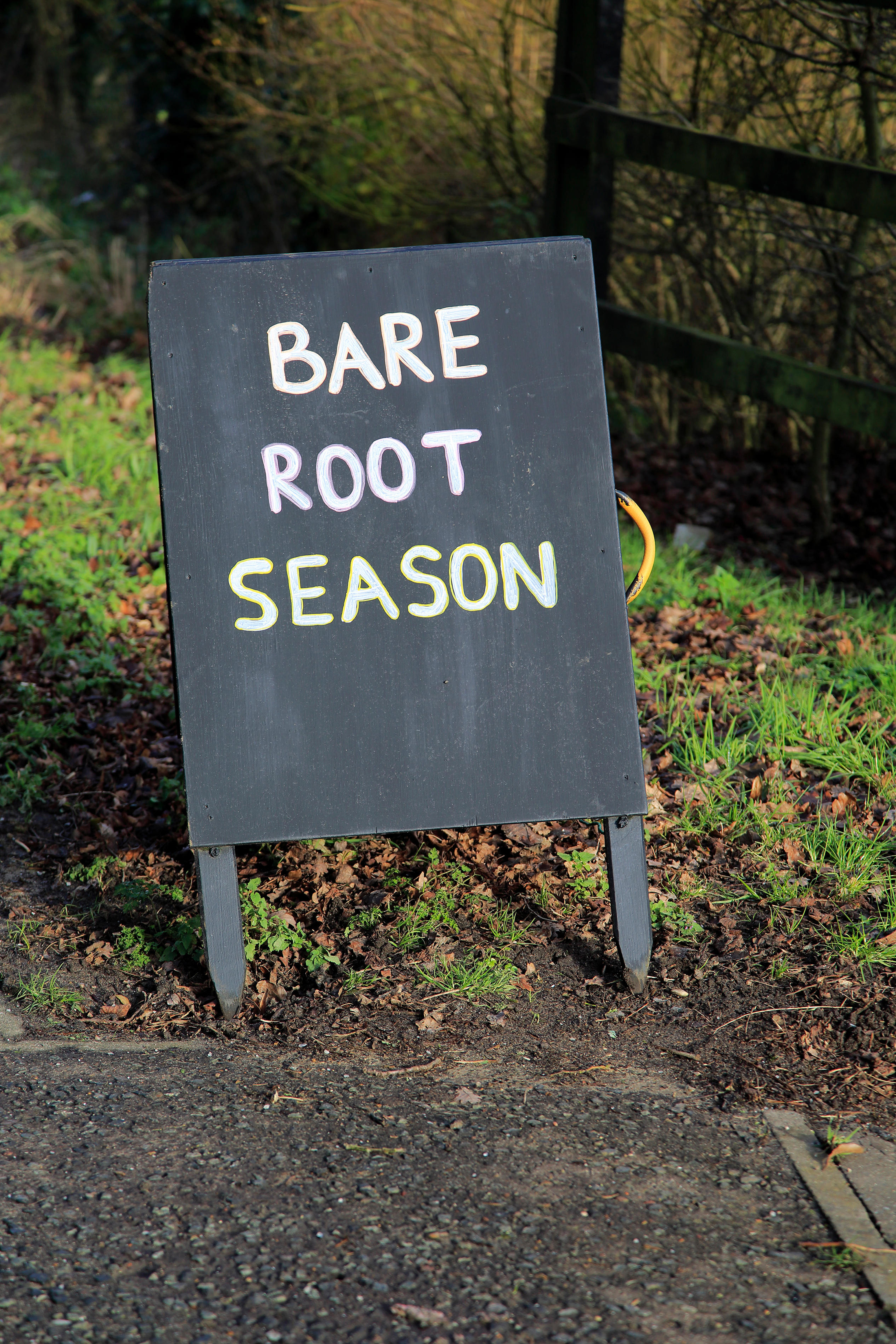 A sign saying Bare Root Season (Alamy/PA)