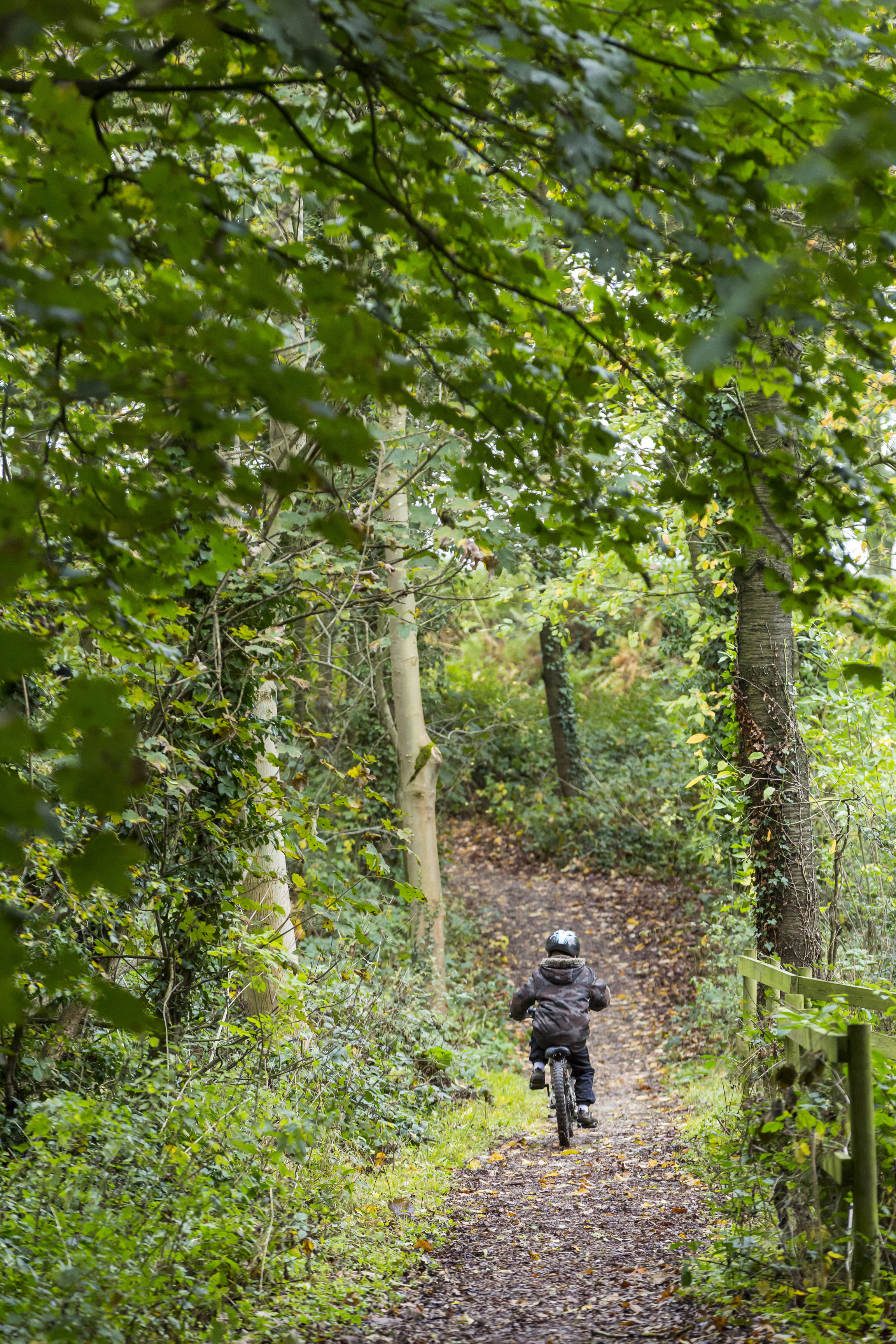 Cycling at Calke Abbey, Derbyshire (Chris Lacey/National Trust Images/PA)