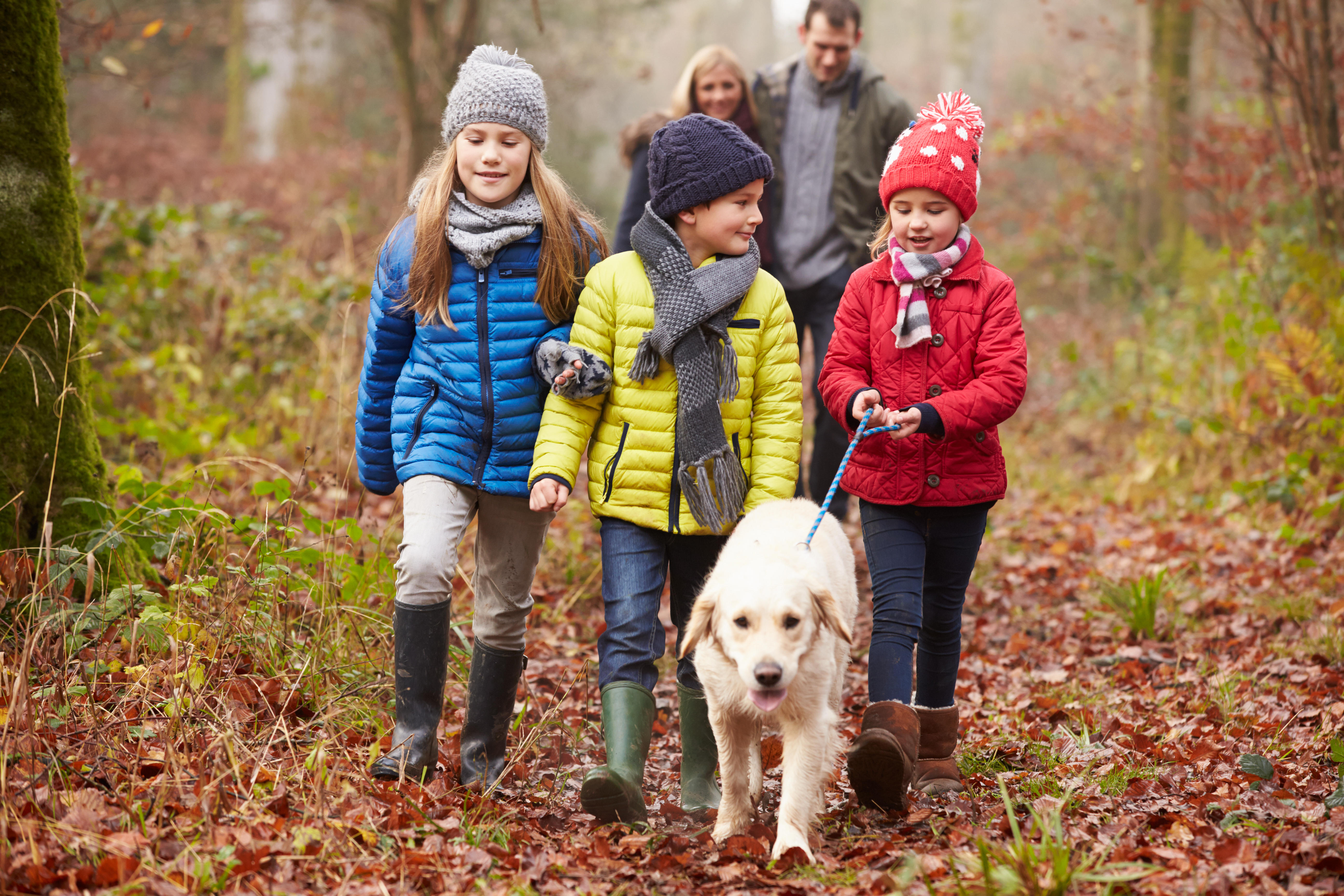 Family Walking Dog Through Winter Woodland