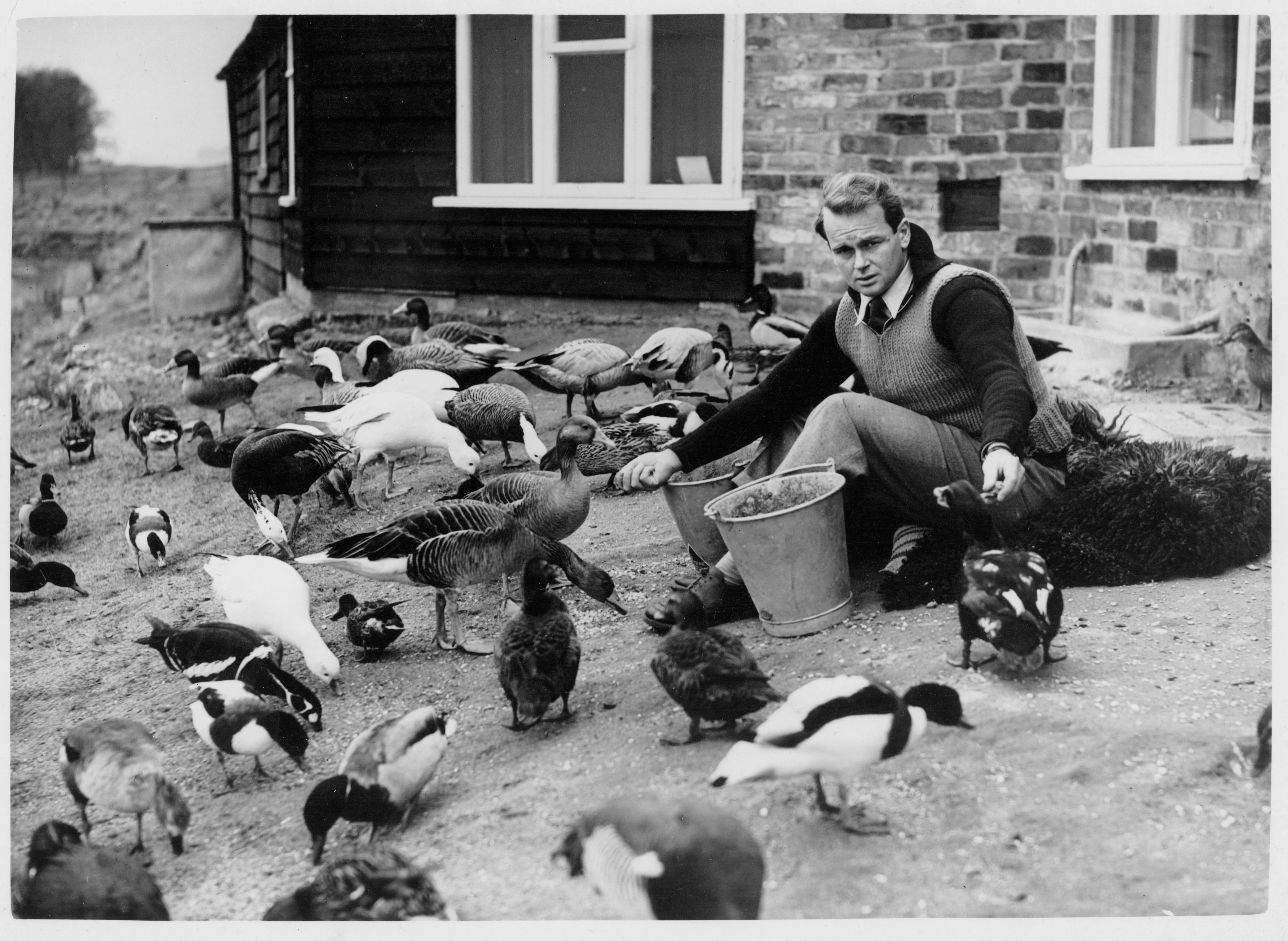 WWT founder Sir Peter Scott feeding geese at Slimbridge (WWT/PA)
