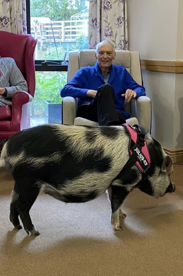 Resident Tony Eaglestone with his favourite pet, Blanket the pig