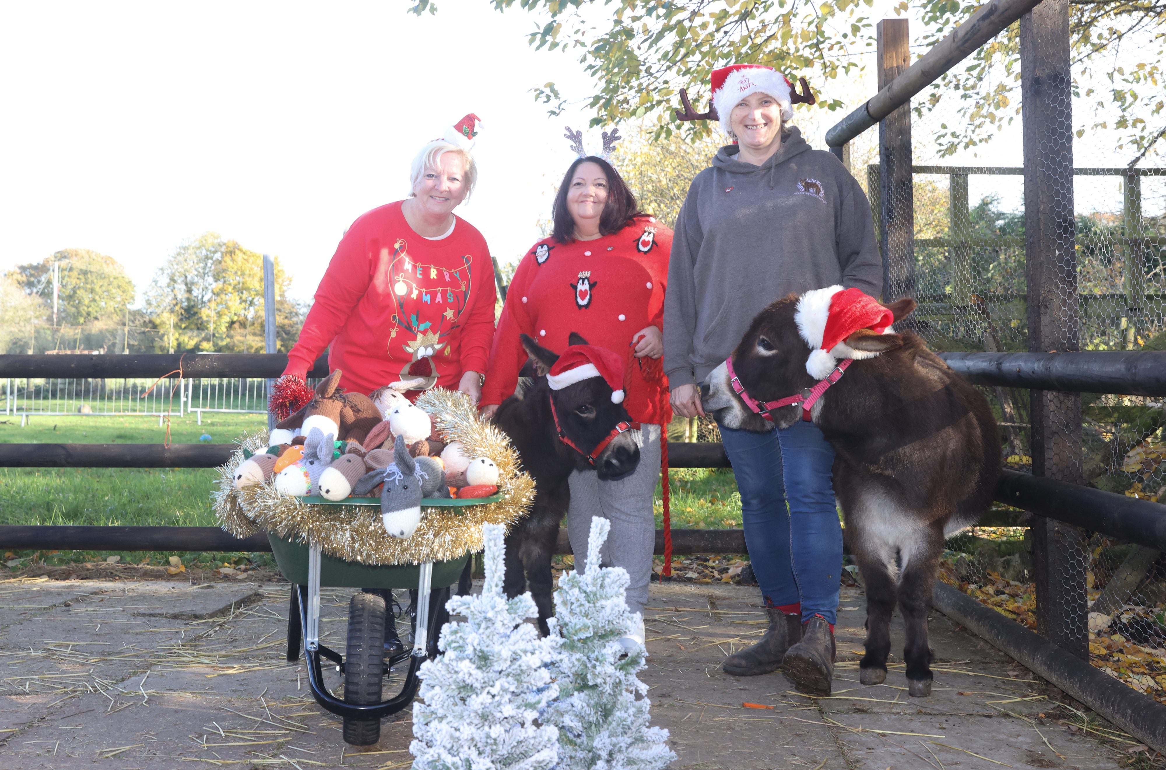 Funds raised through sale of the knitted toys will help keep the miniature donkeys fed through the winter months. (National Lottery/ PA)