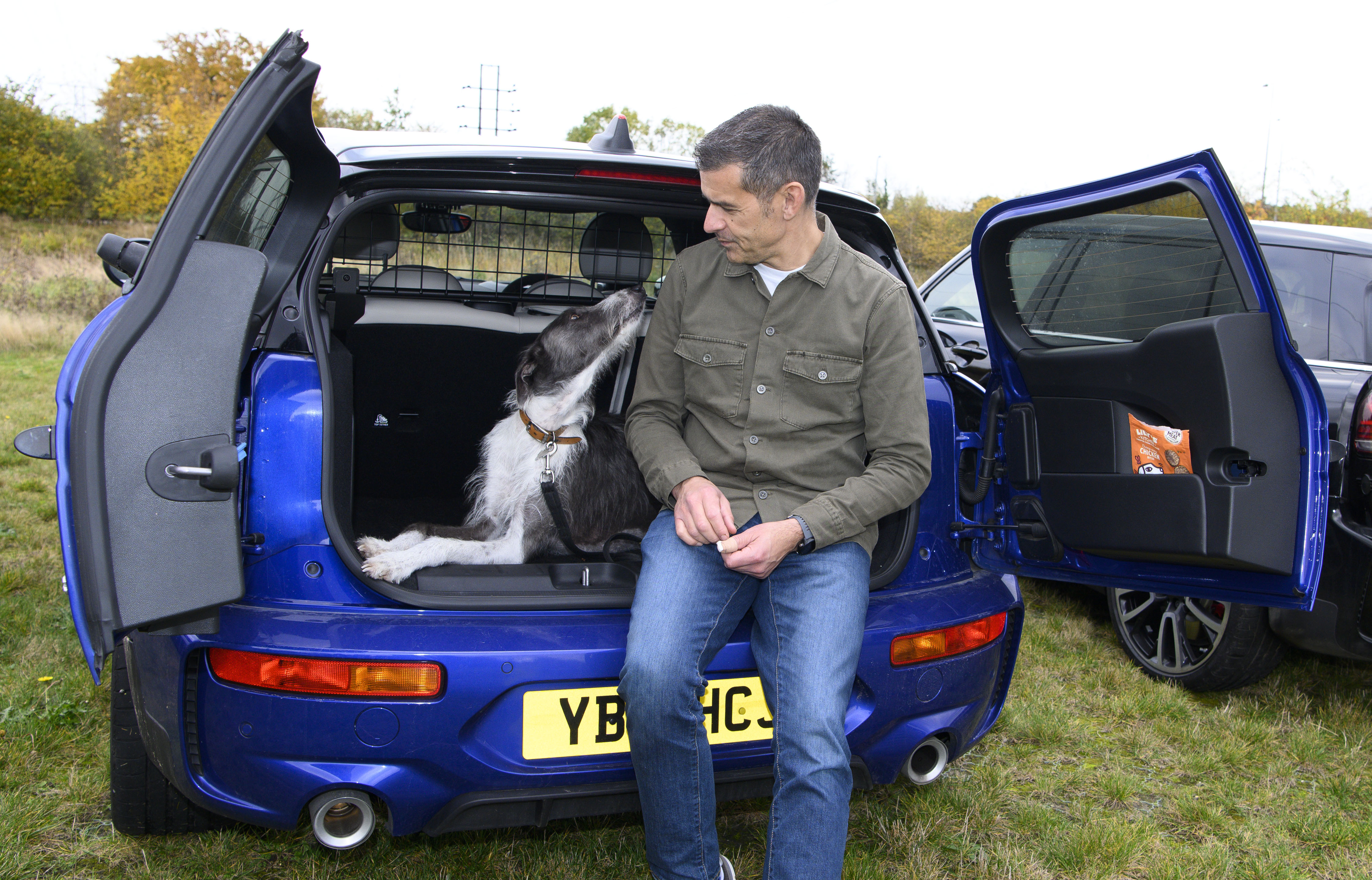 Dogs in cars