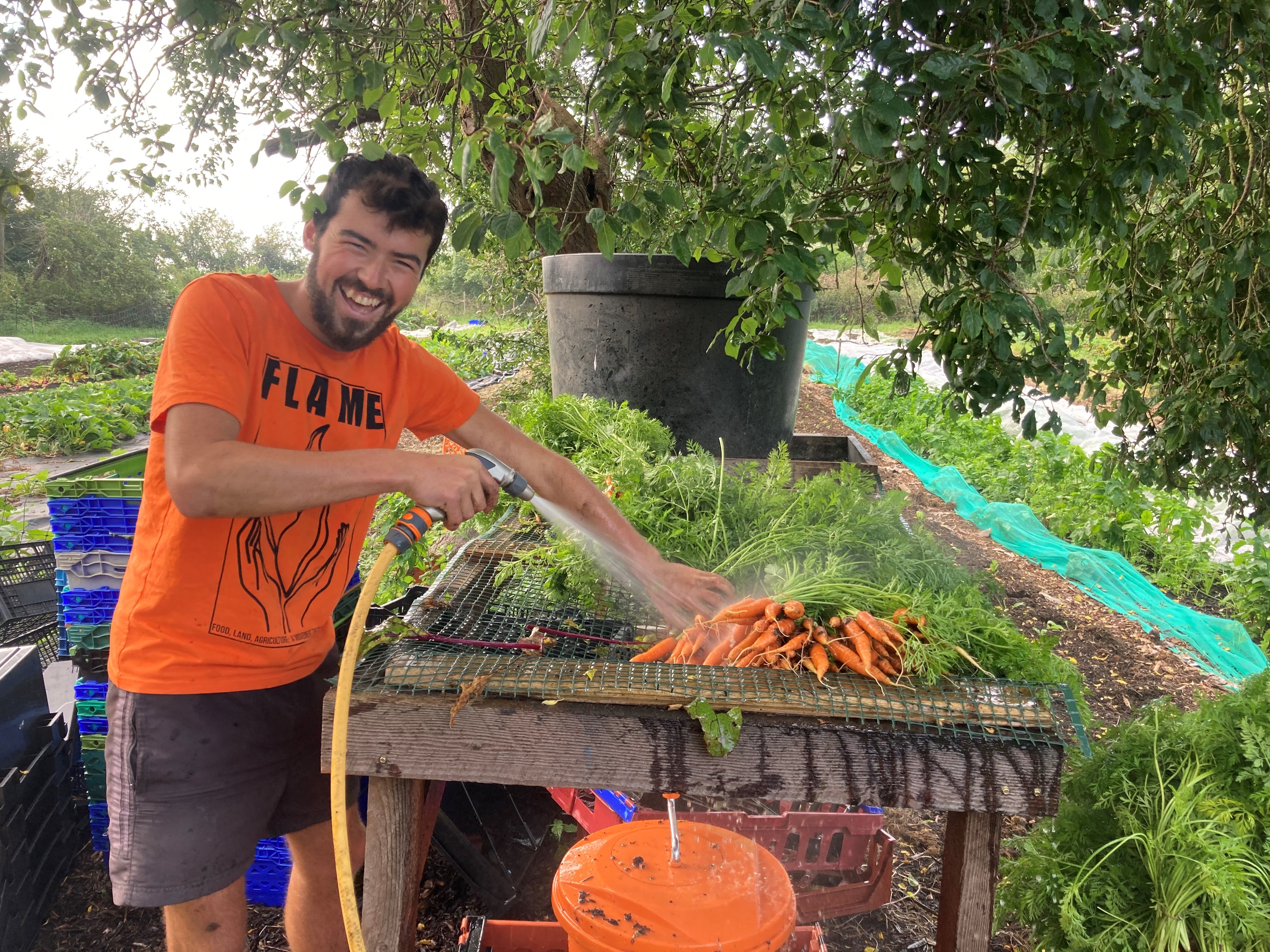 Young farmer Hamish Evans washes some carrots