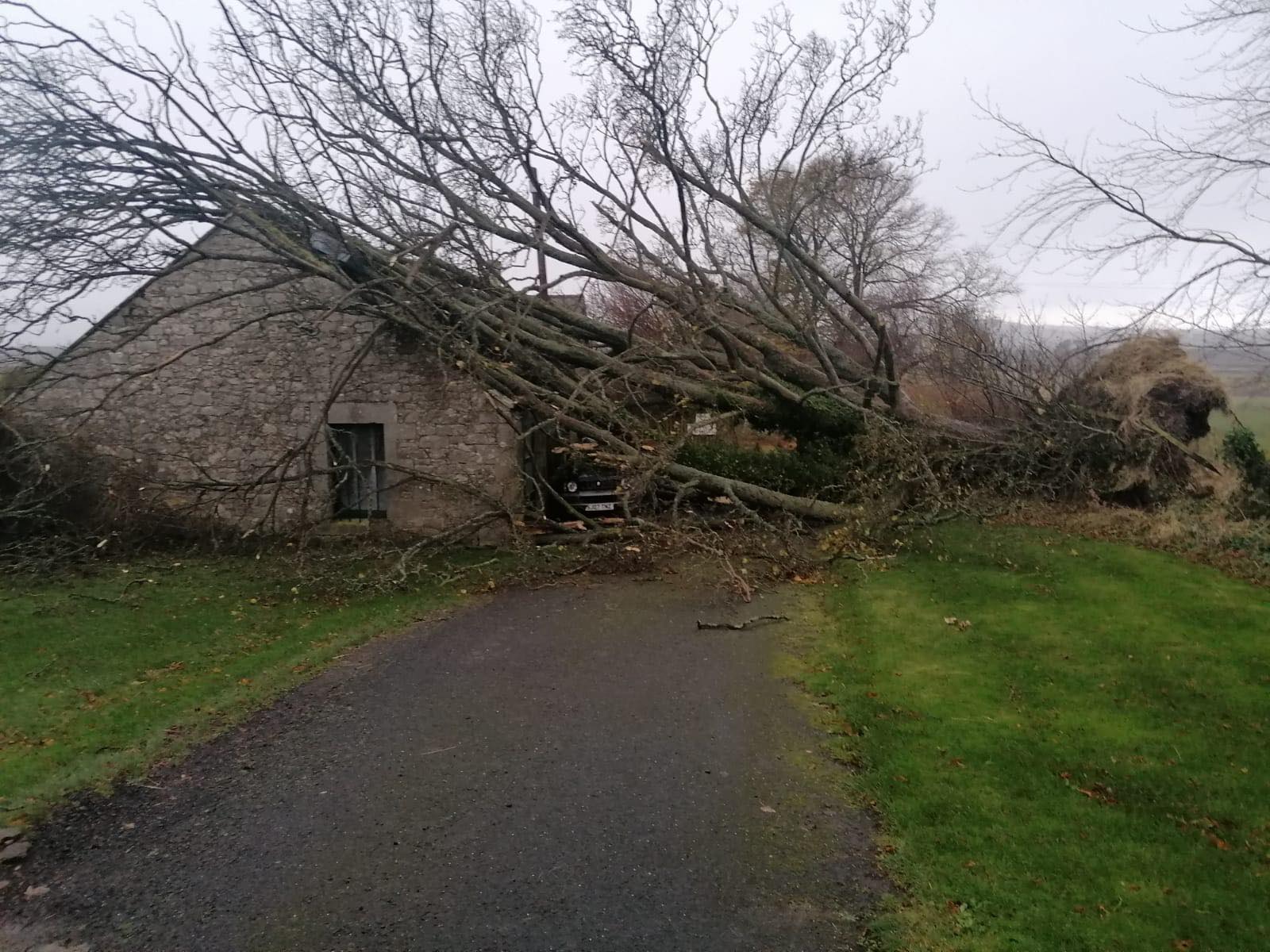 Tree fallen on Ms Rampersad van Boeckel's shed