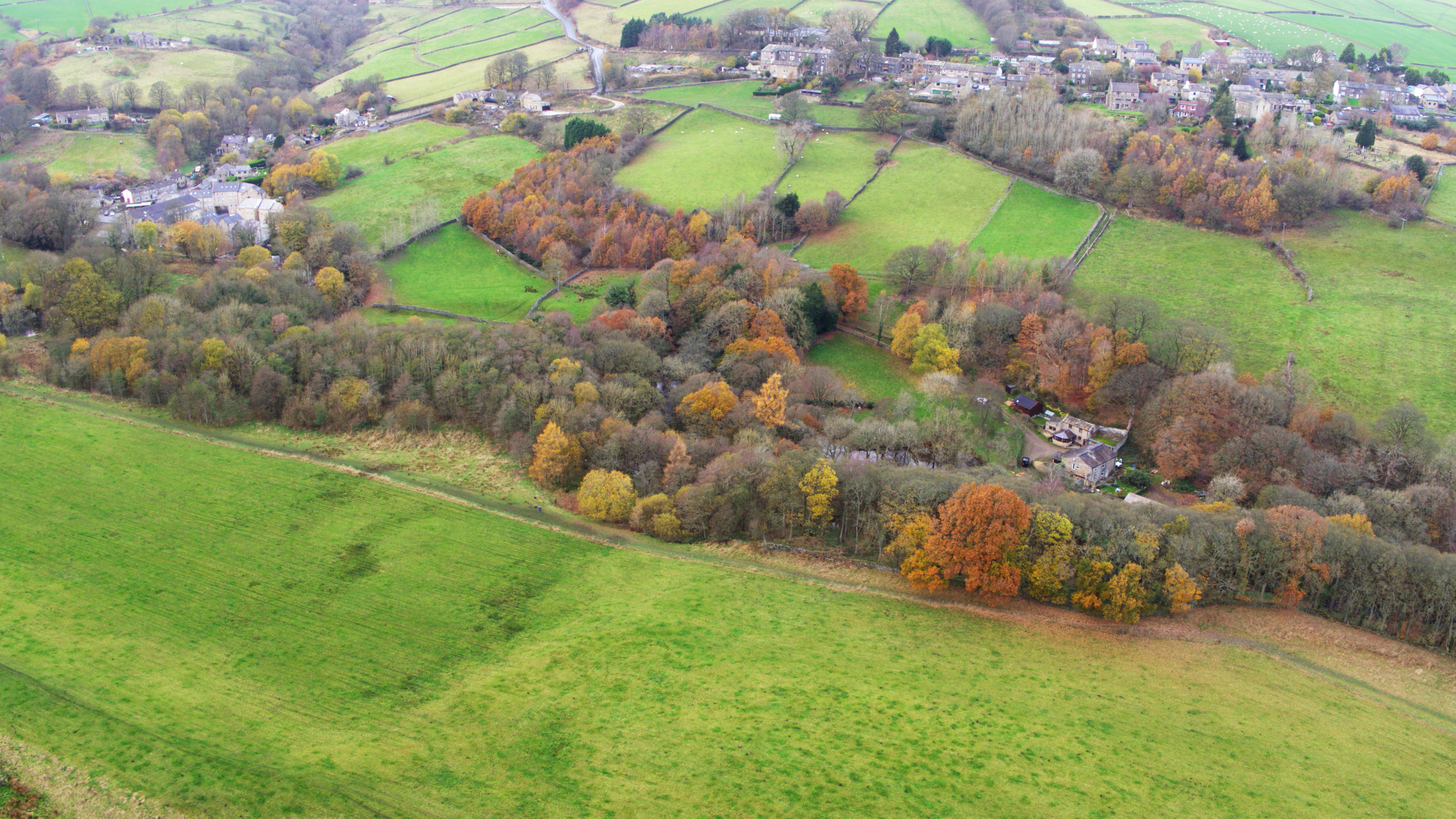 An aerial view of the woodland and open land site