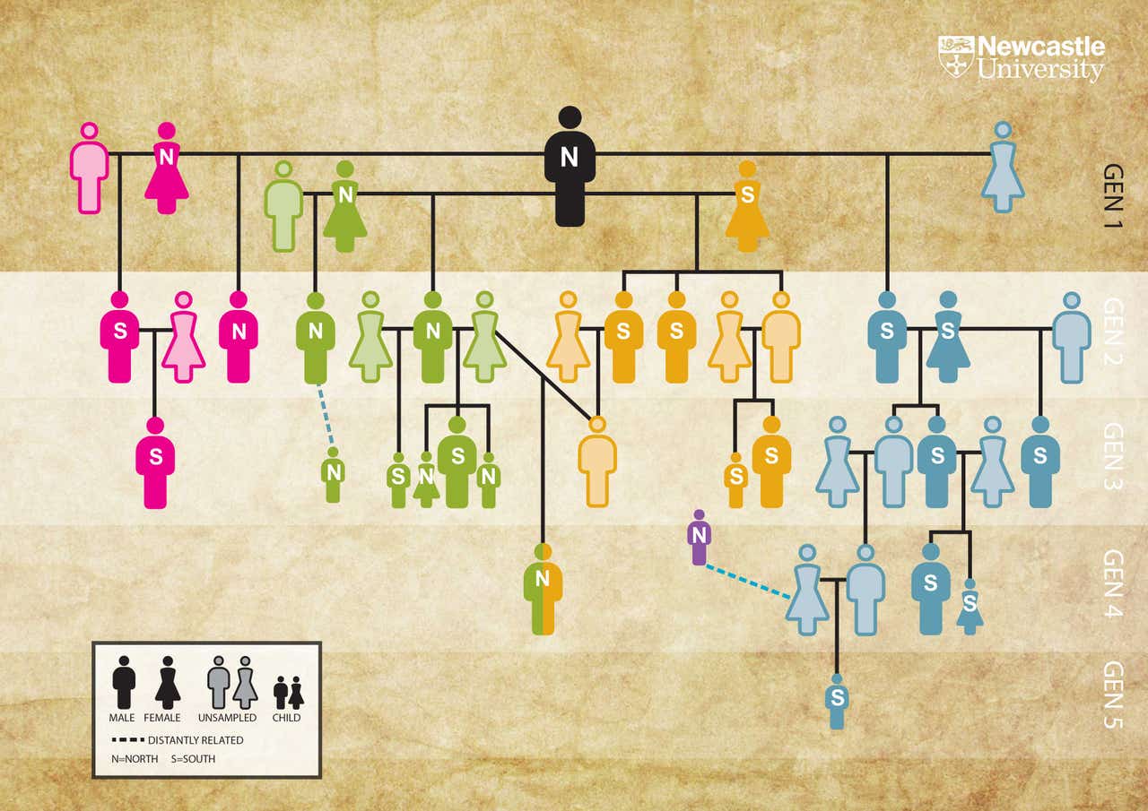 oldest-family-tree-pieced-together-from-5-000-year-old-extended