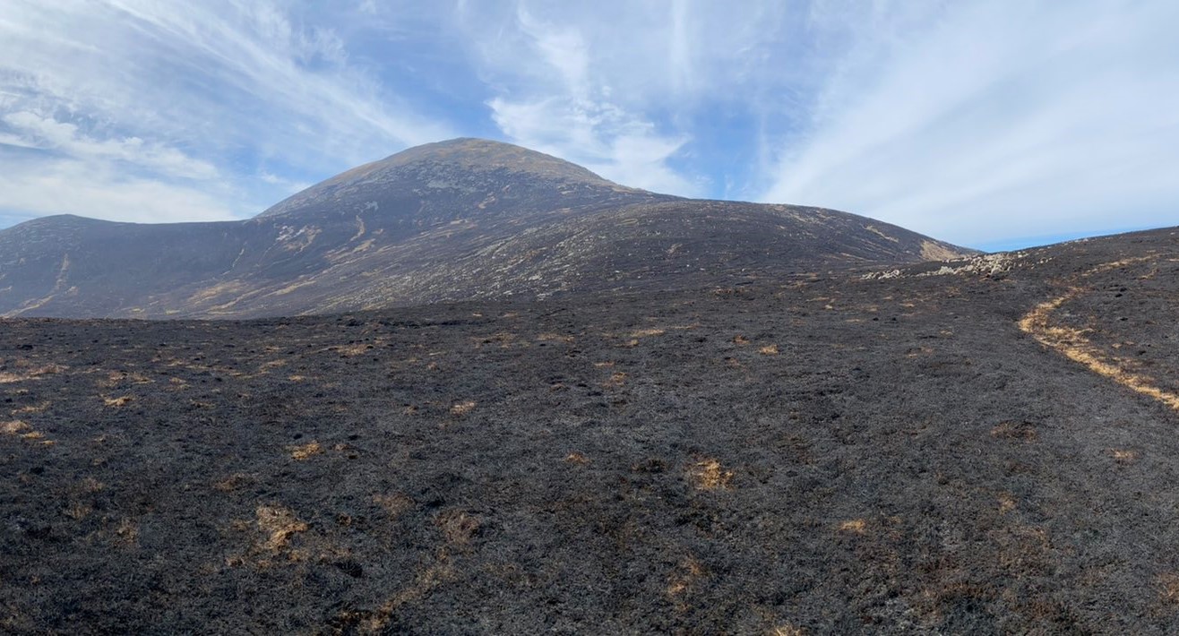 Damage caused by the wildfire in the Mourne Mountains (National Trust/PA)