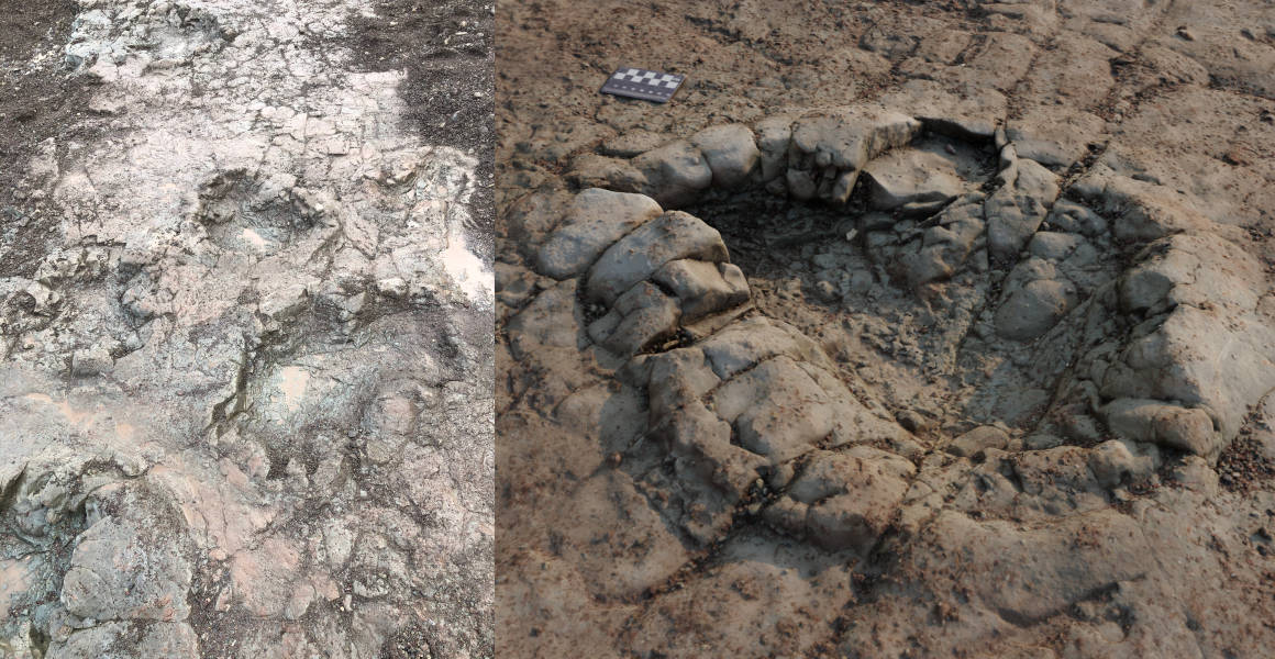 Experts recreated a 3D image of the footprint from the trackway in Penarth (Peter Falkingham/Natural History Museum/PA)