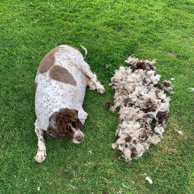 Philip after his first haircut before he lost weight