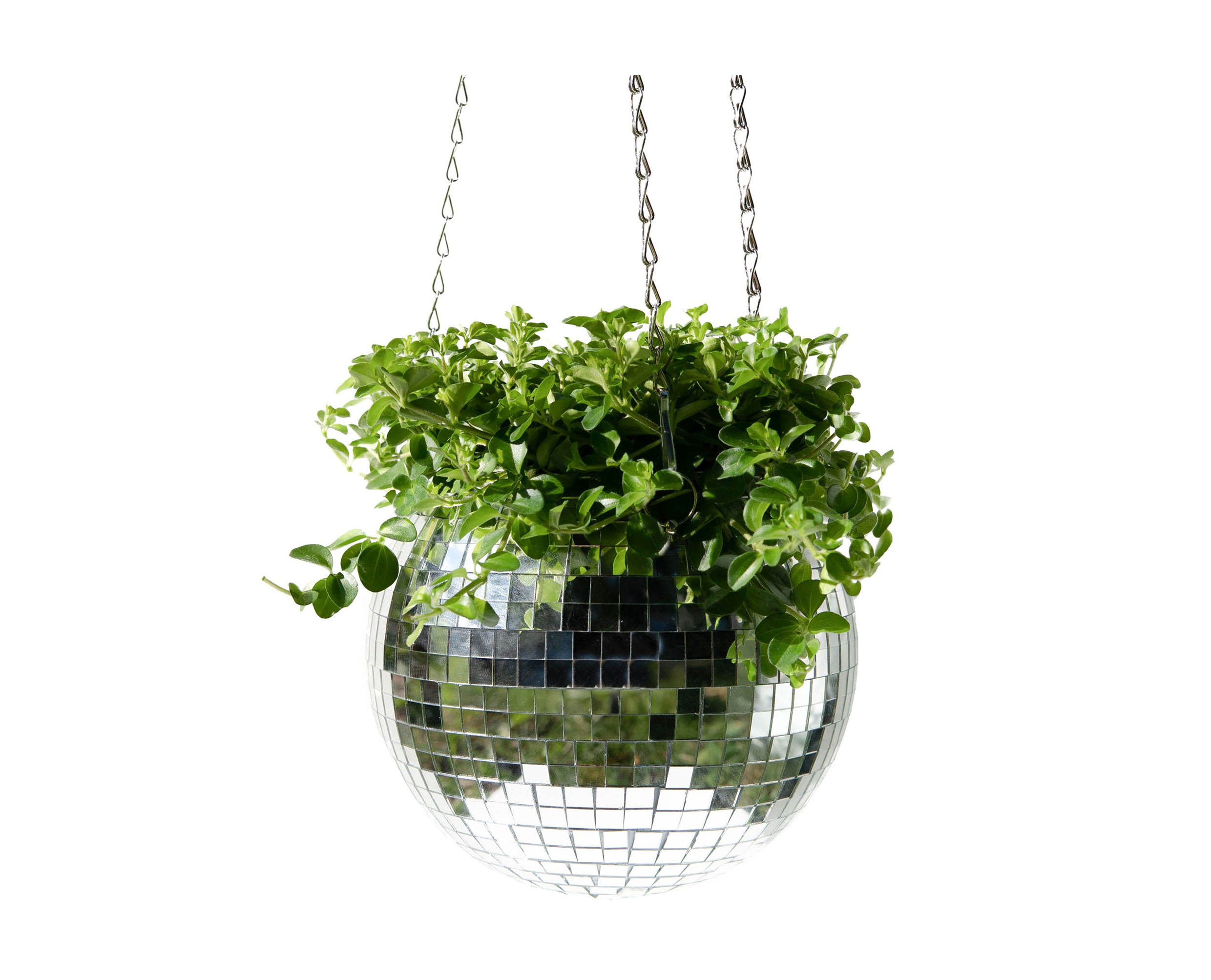 Disco Ball Hanging Planter, Rocket St George