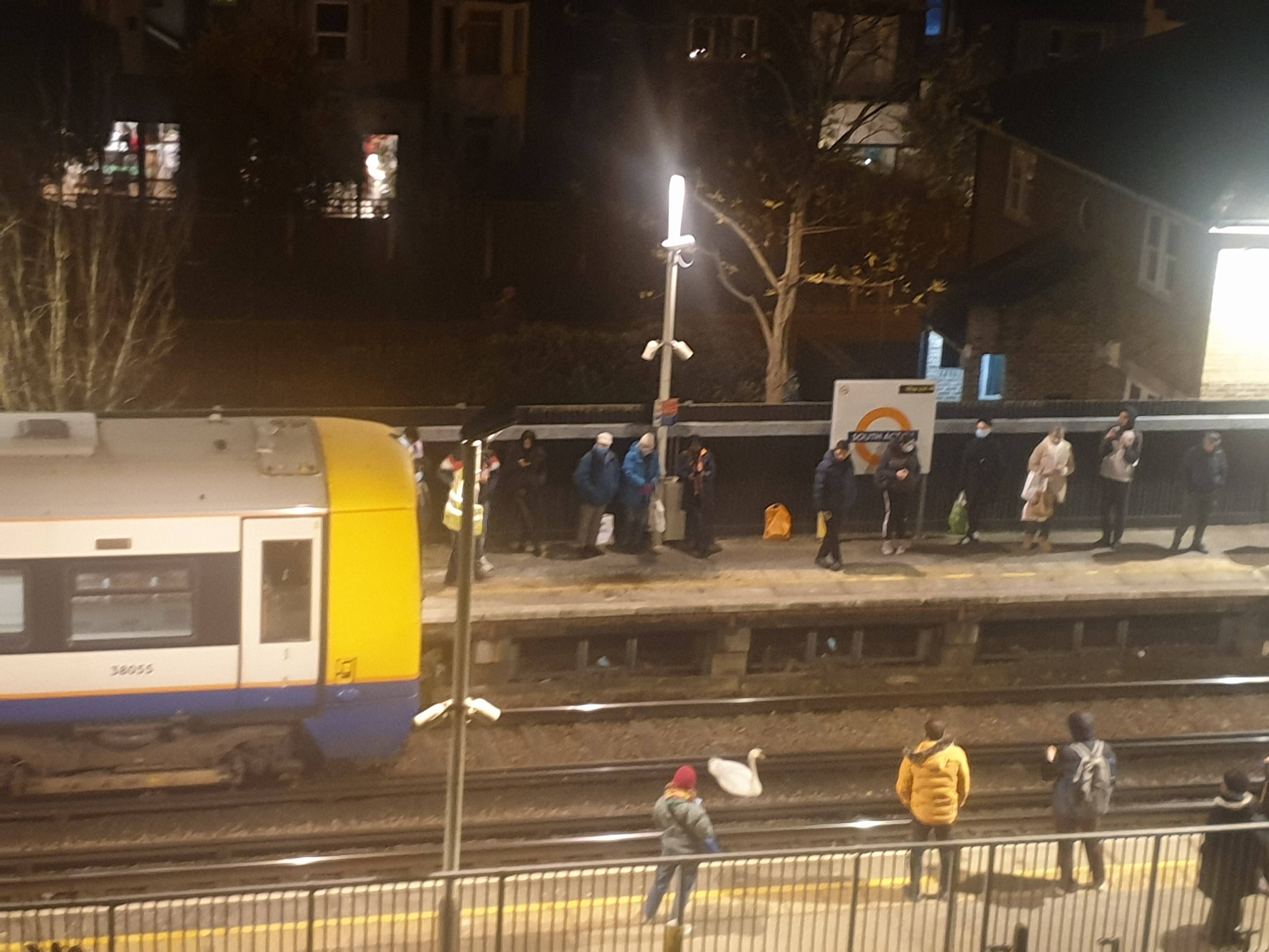 An injured swan had to be rescued after it fell onto the tracks at a West London station, causing hours of delays.
