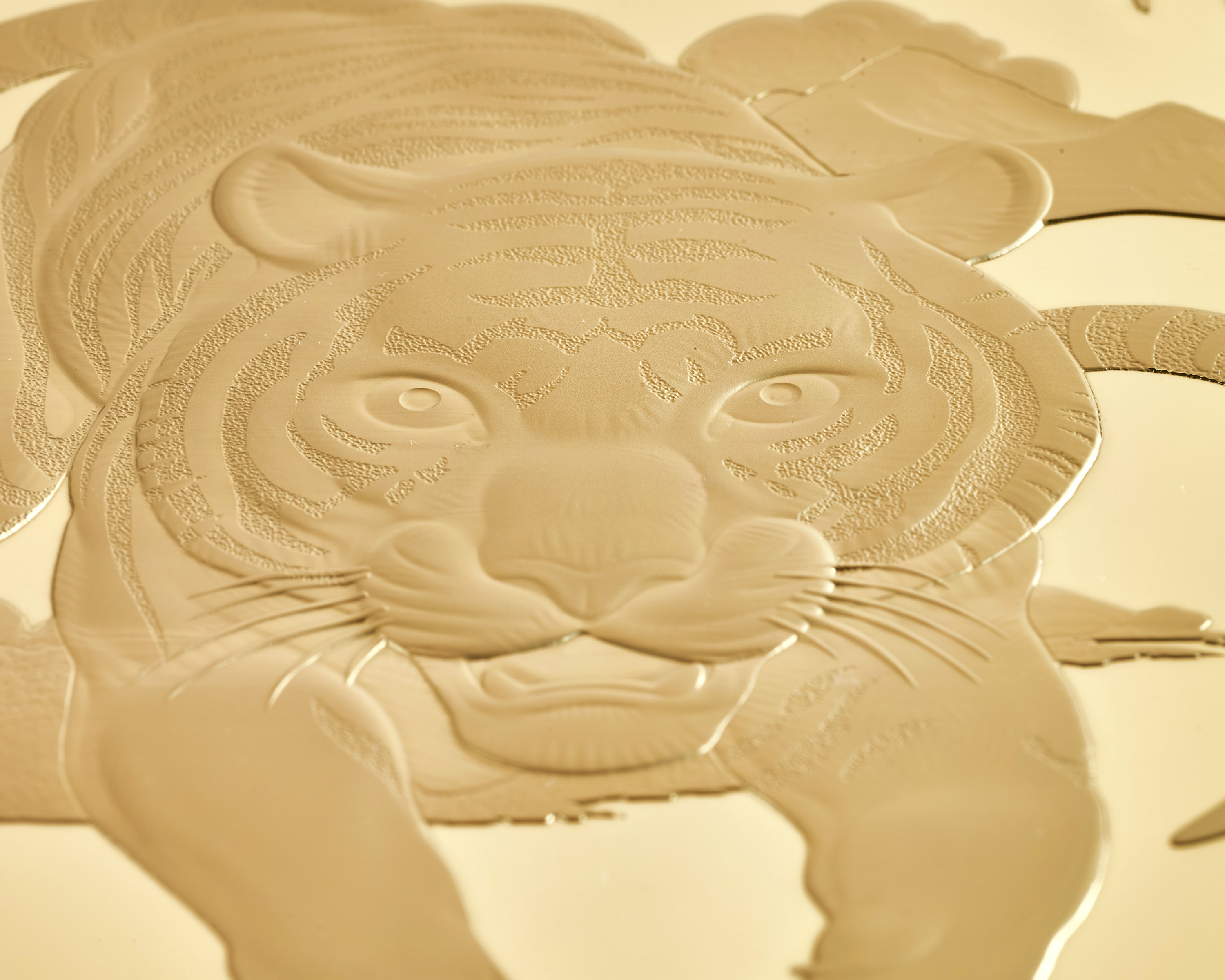 A close up of the Tiger coin