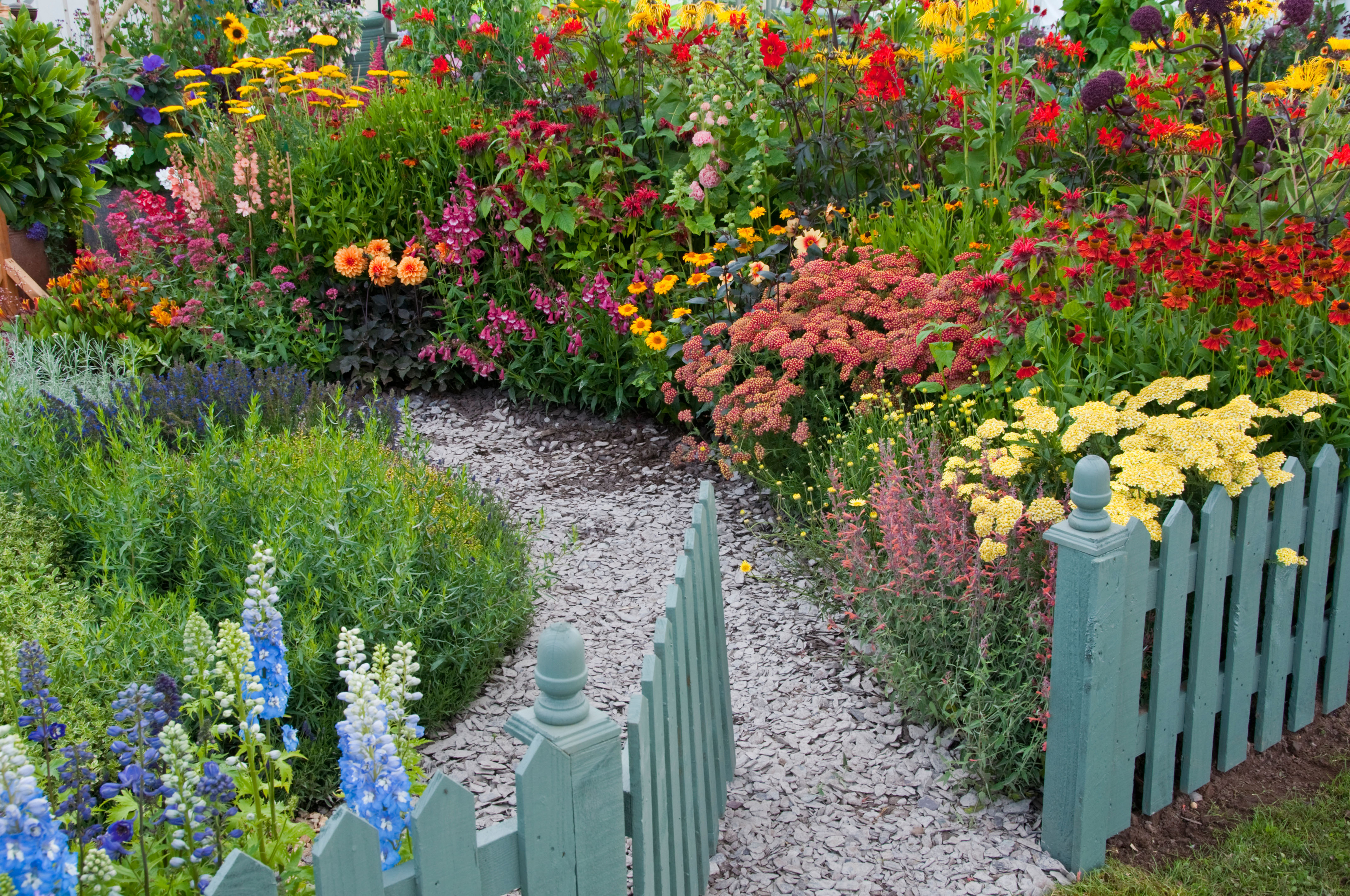 Flower borders of different colours (Alamty/PA)