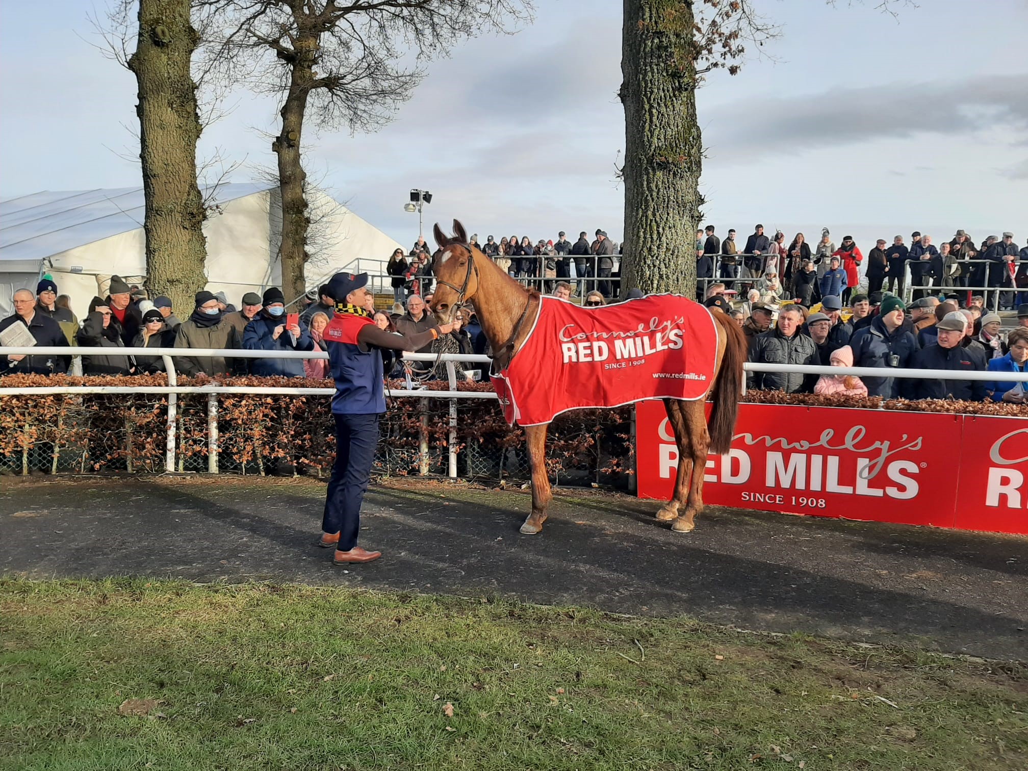 Teahupoo set for Champion Hurdle bid after Gowran success geegeez.co.uk