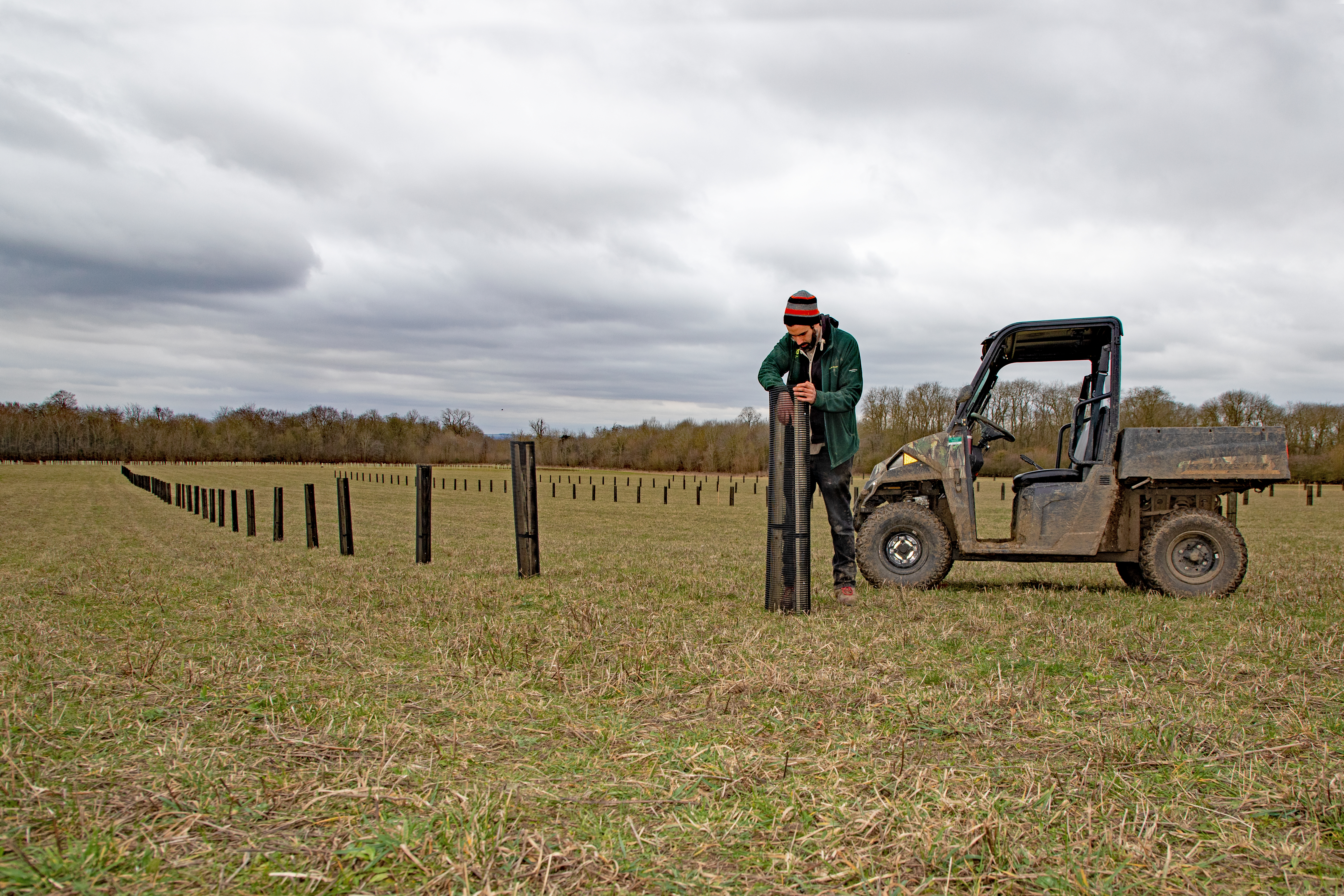 National Trust Ranger, Stuart Gilmore, checking the apple trees planted as part of a new area of agroforestry on the Wimpole Estate in Cambridgeshire. (Mike Selby/ PA)