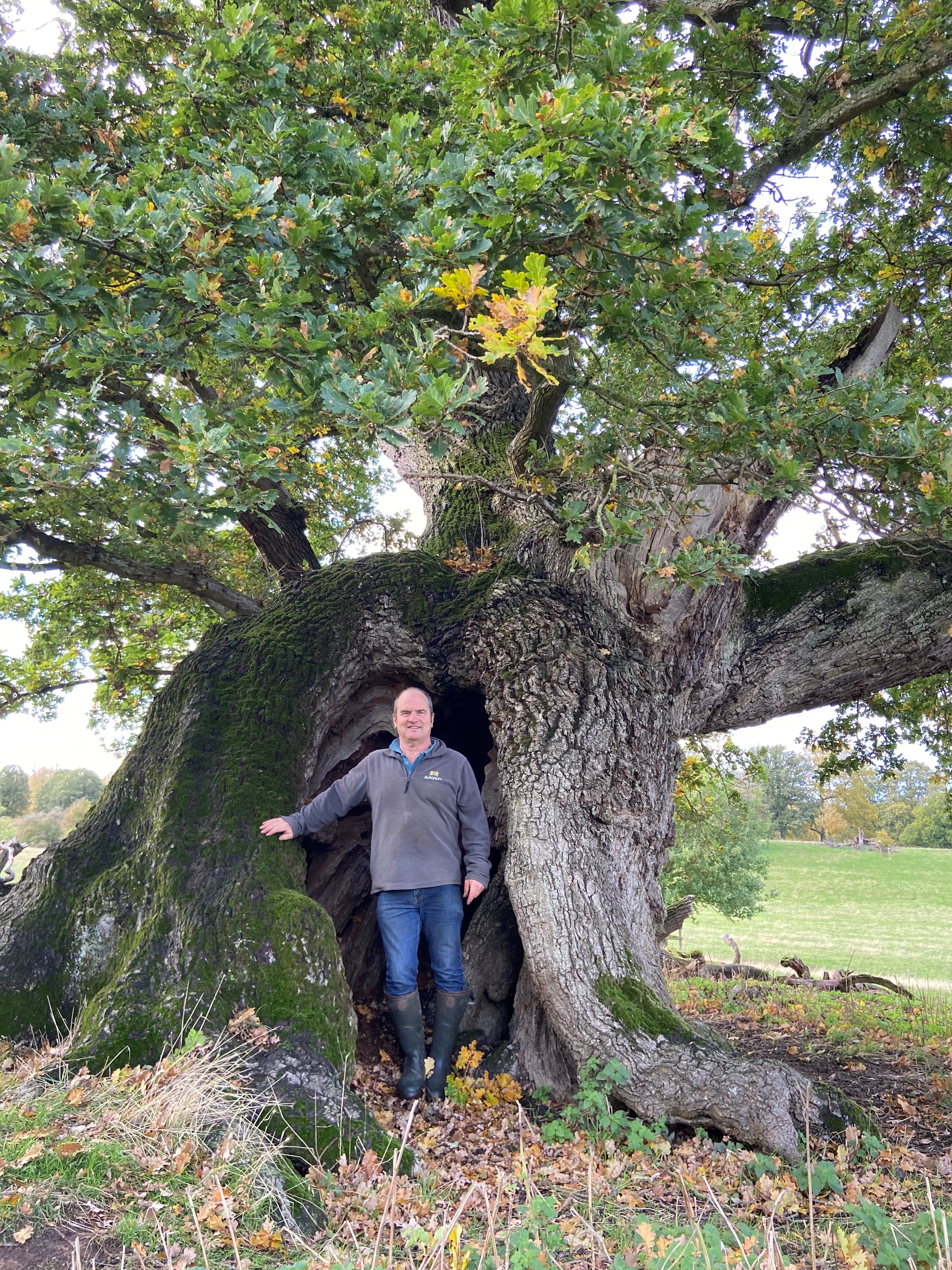 Head forester Peter Glassey with an ancient oak tree (Burghley Estate/PA)