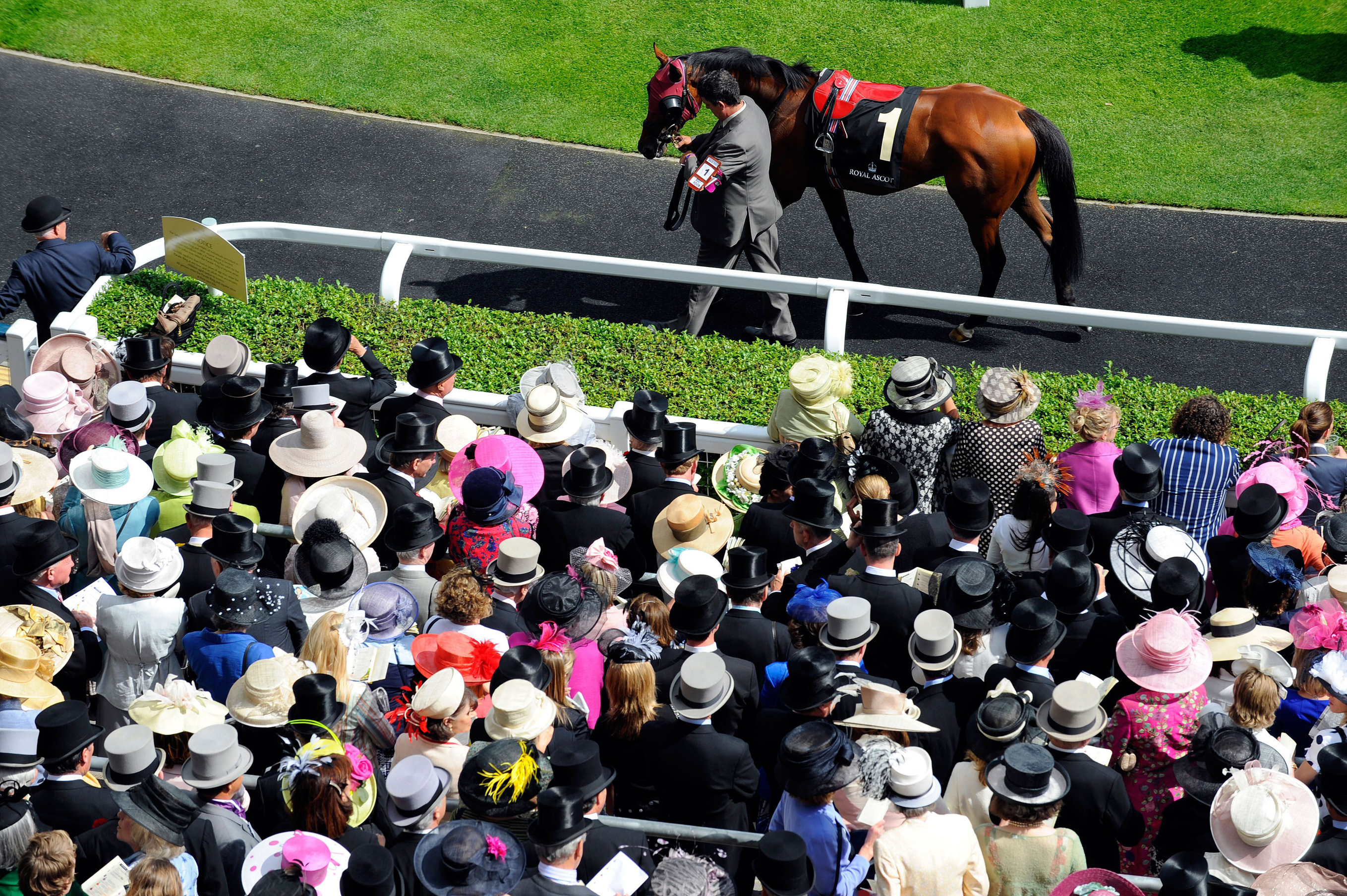 Overhead view of crowds at Royal Ascot