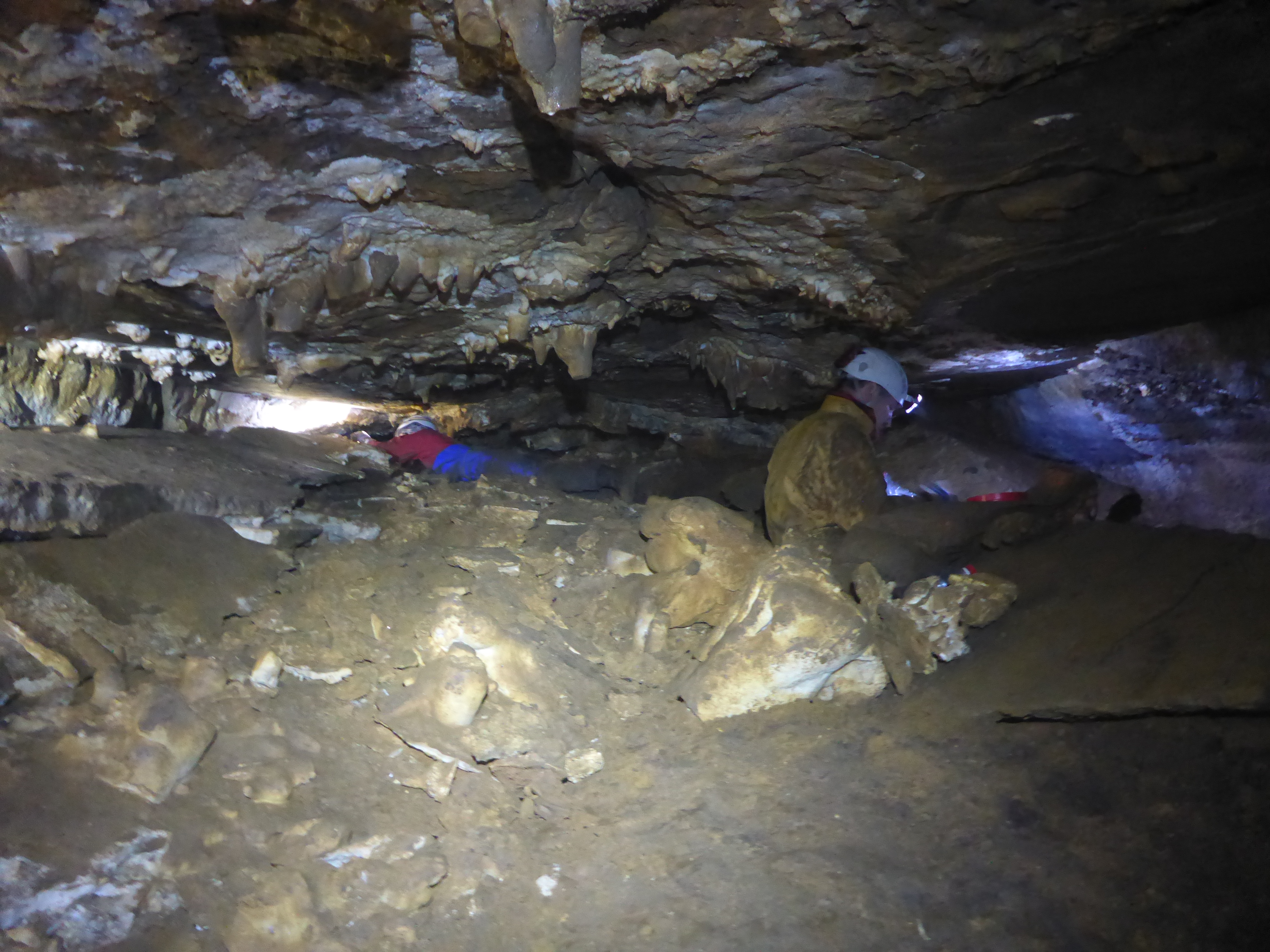 Gathering samples in Siberia