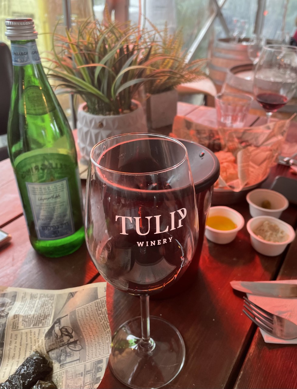 Wine tasting at Tulip winery, in the hillside village of Kfar Tikva (Jemma Crew/PA)