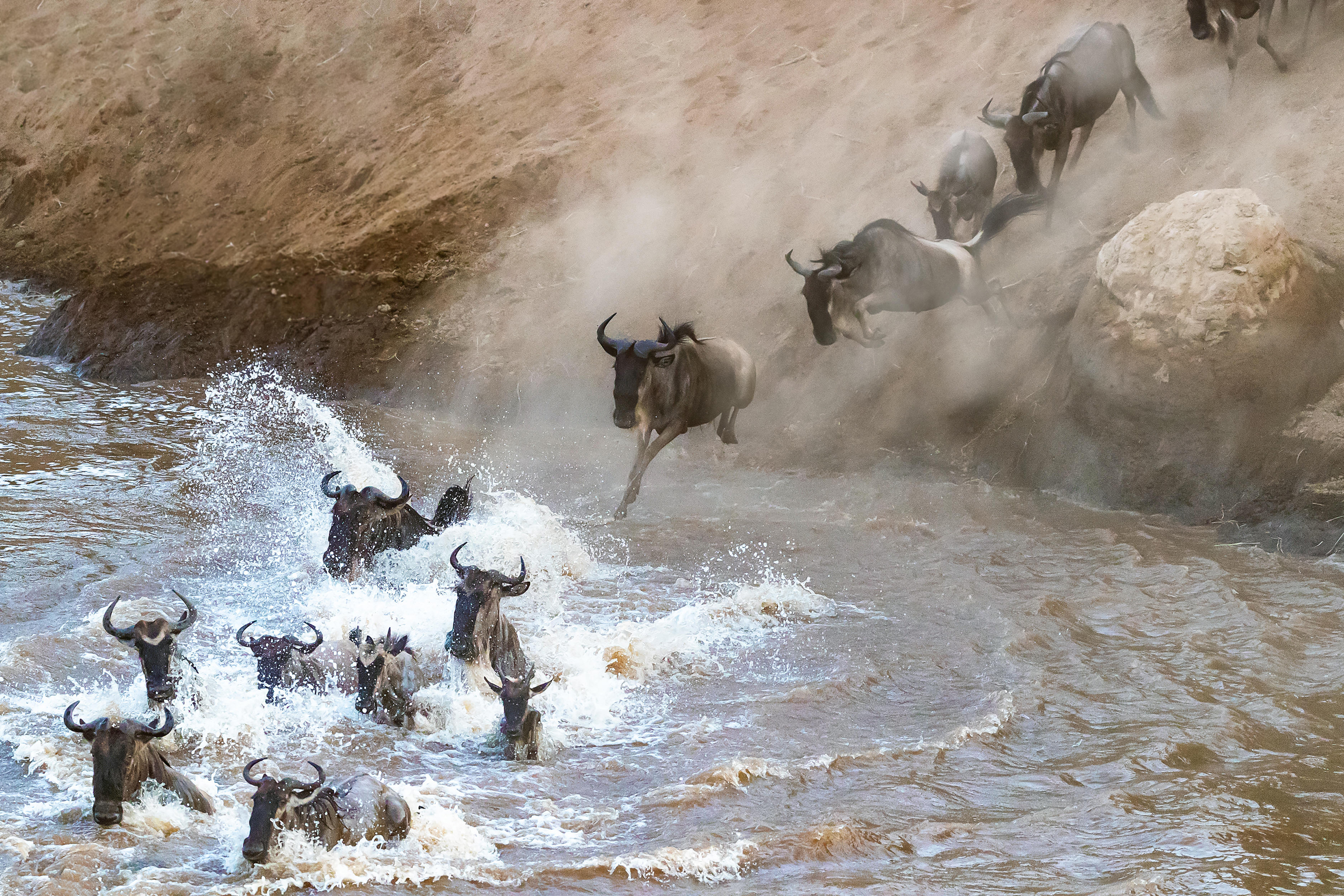 Wildebeest cross the Mara River during the annual Great Migration (Alamy/PA)