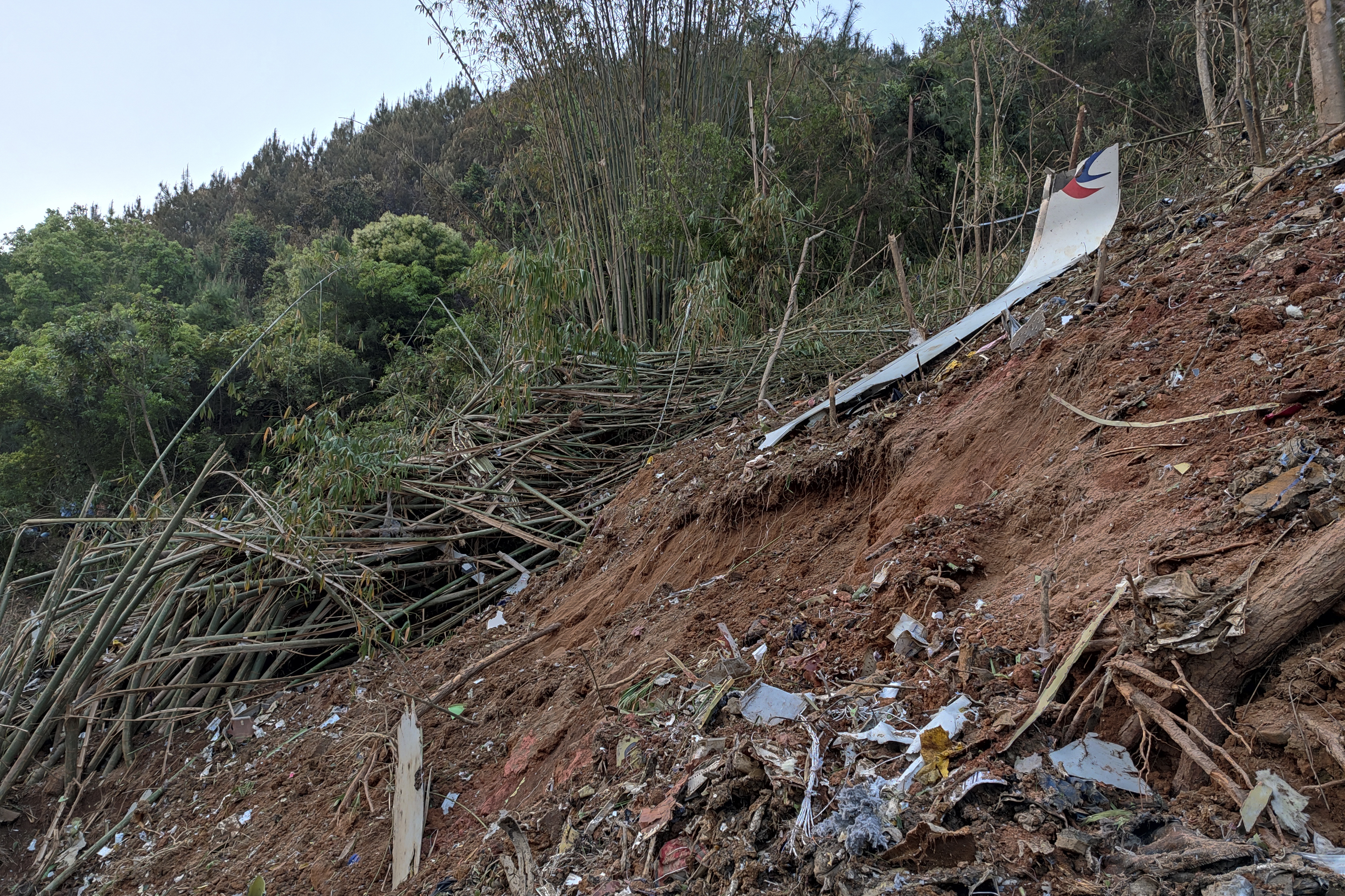 A piece of wreckage from China Eastern's Flight MU5735 is seen after it crashed on the mountain in Tengxian County in south China's Guangxi Zhuang Autonomous Region