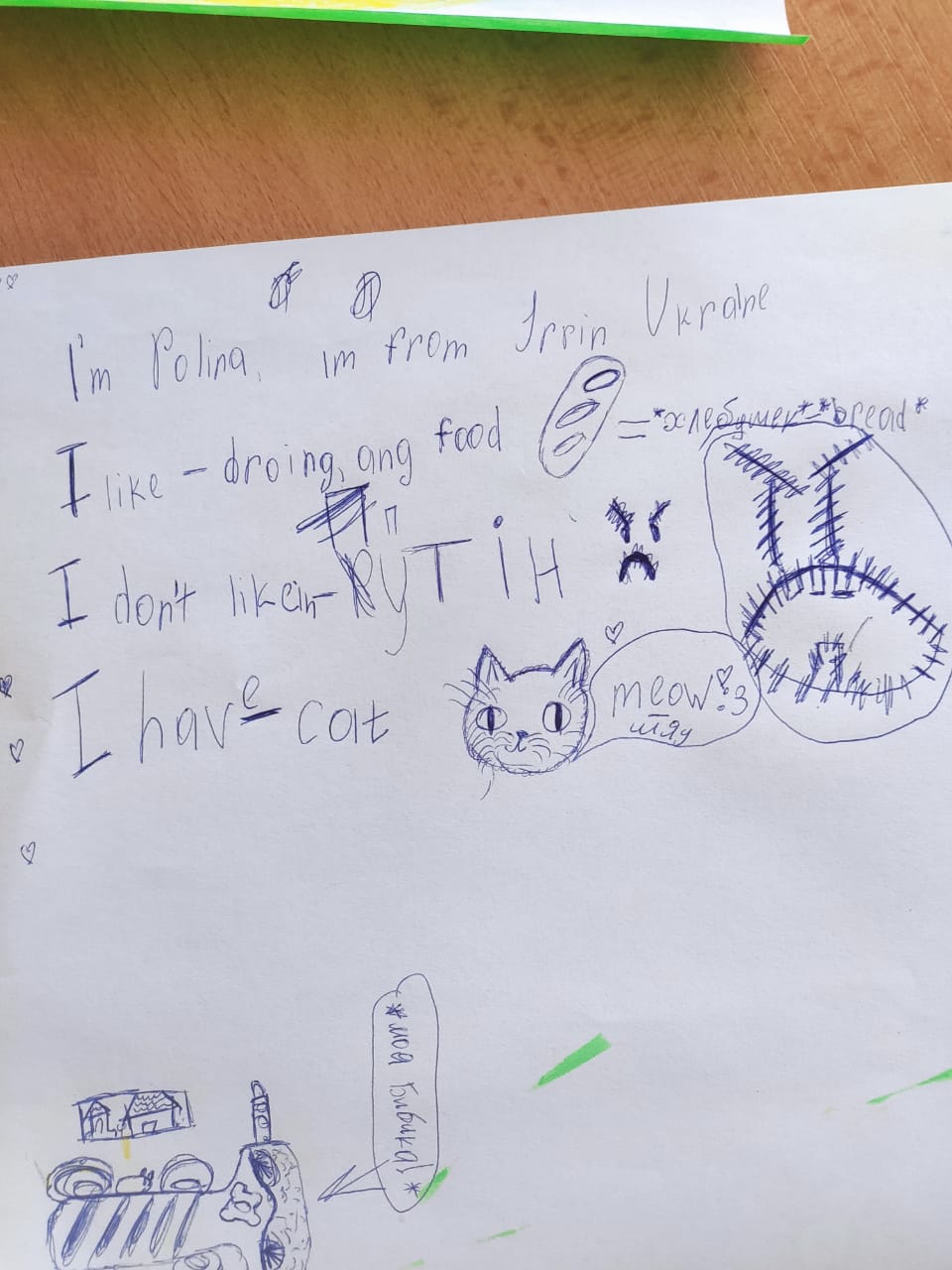 A student called Polina has written: "I like drawing and food. I don't like Putin. I have (a) cat."